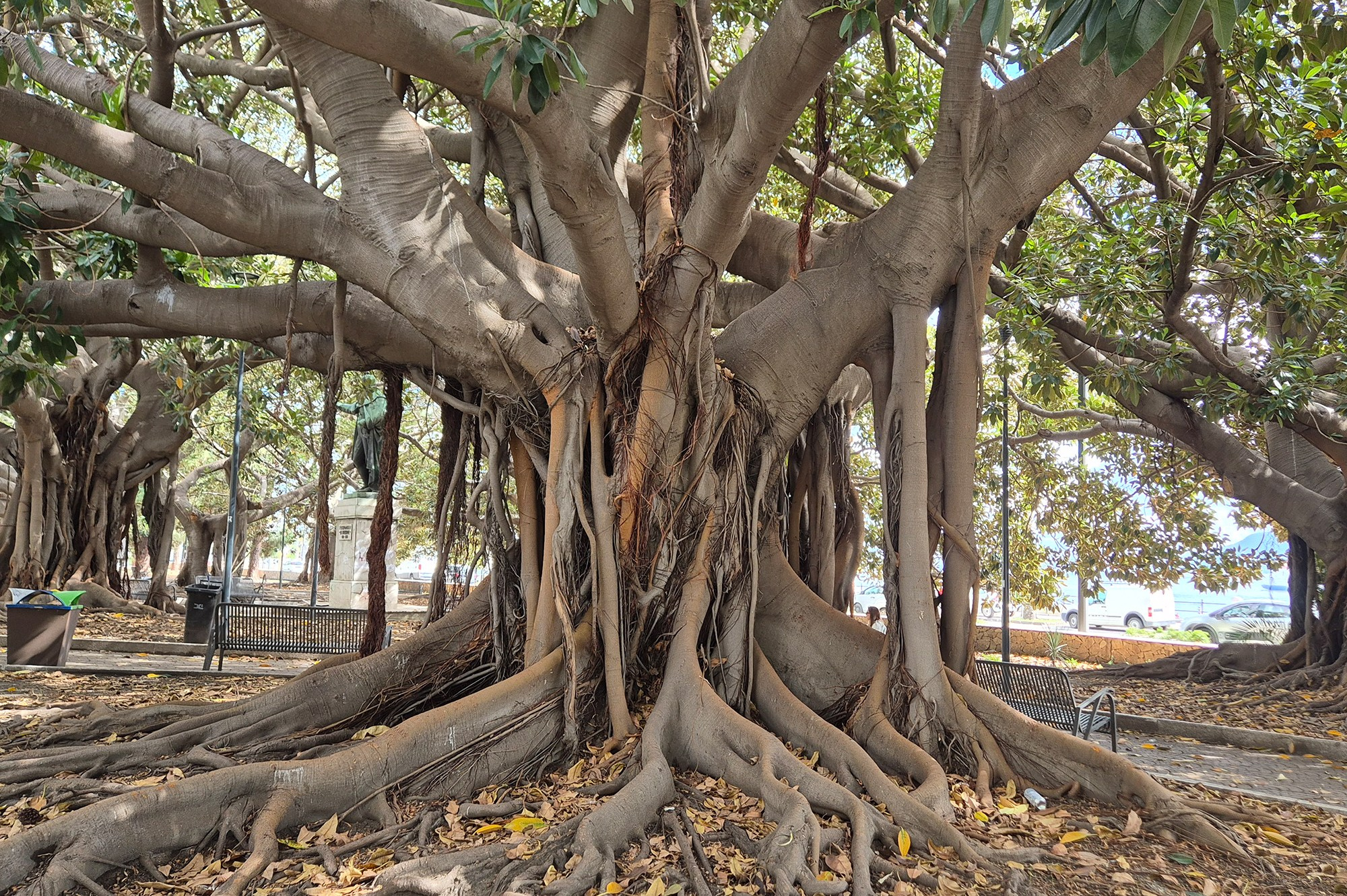Сицилия-программа. Elina Reisen. Туристическое агентство в Аугсбурге