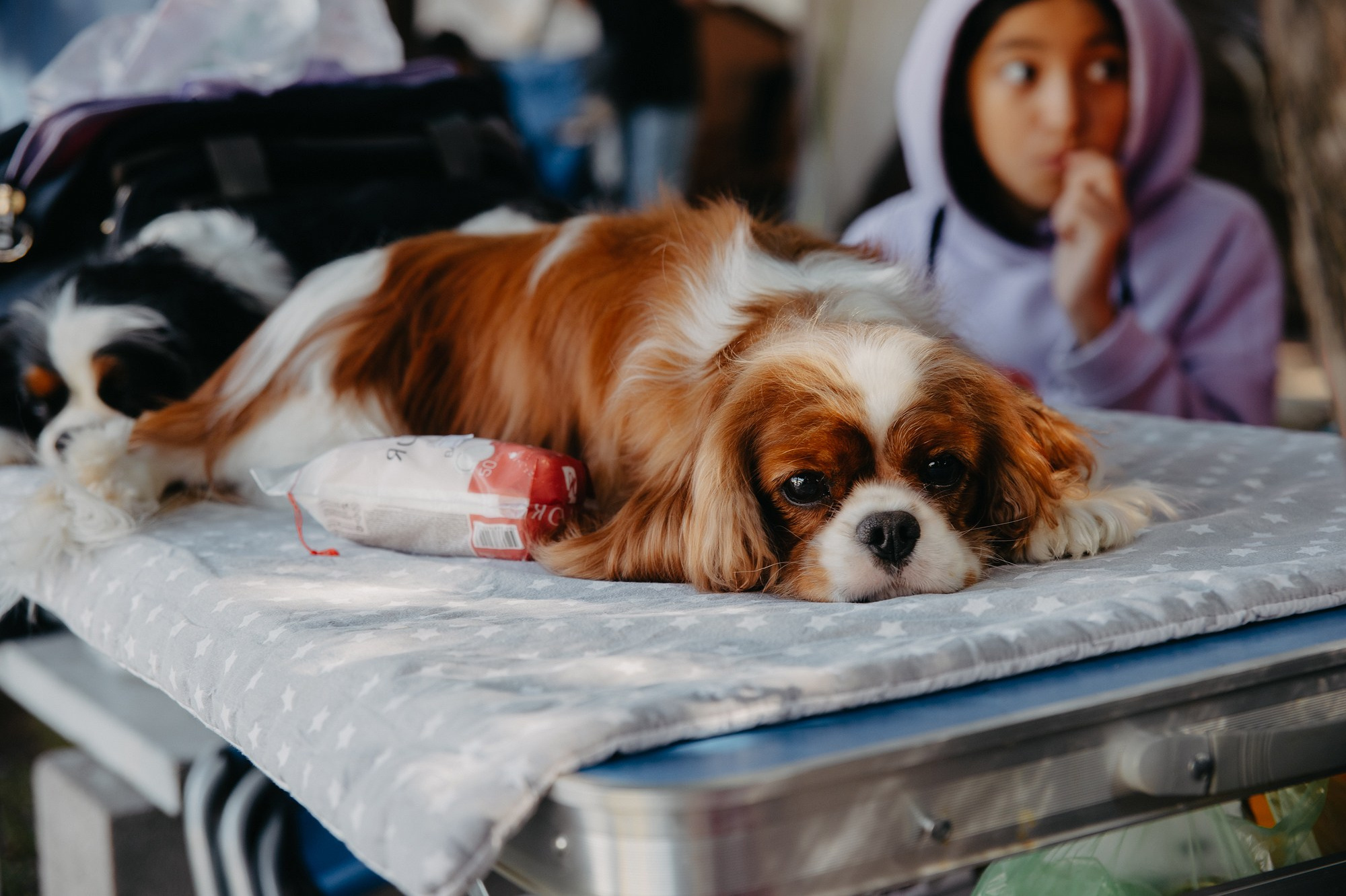 Фотоотчеты. Фотоотчеты