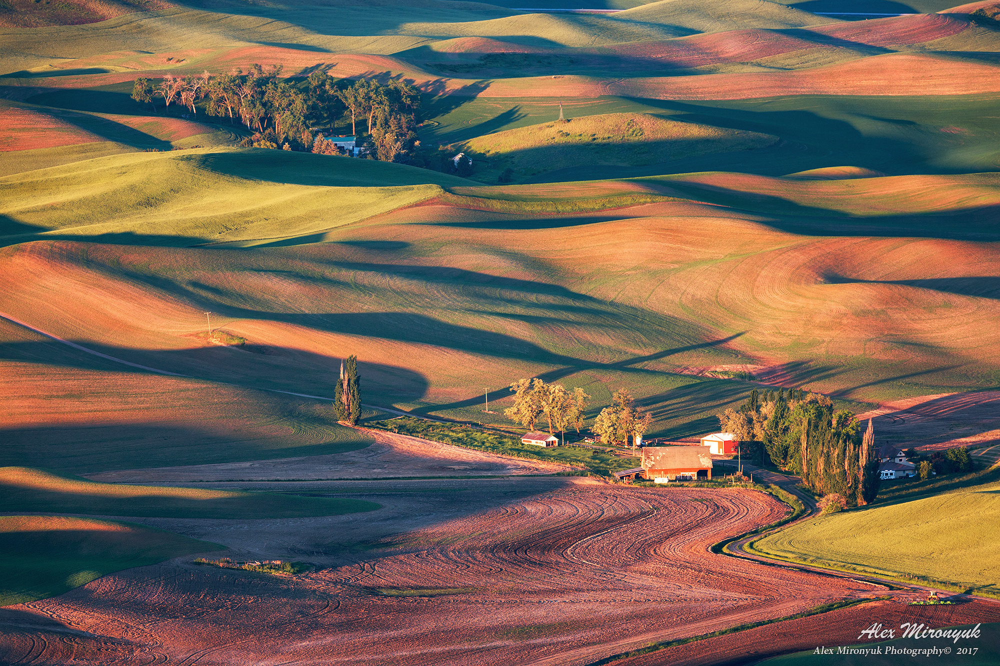 Unlimited Palouse. Alex Mironyuk Photography