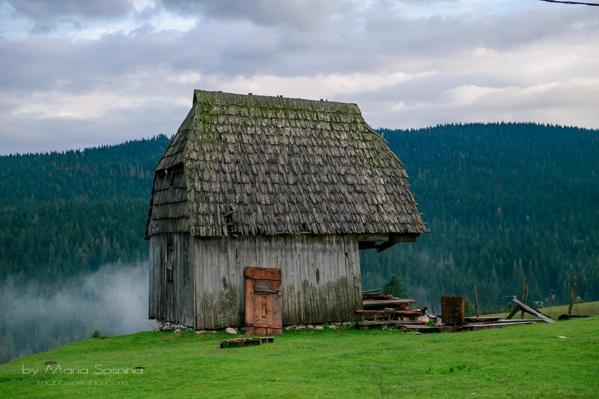 Karadağ'ın kuzeyindeki Zabljak