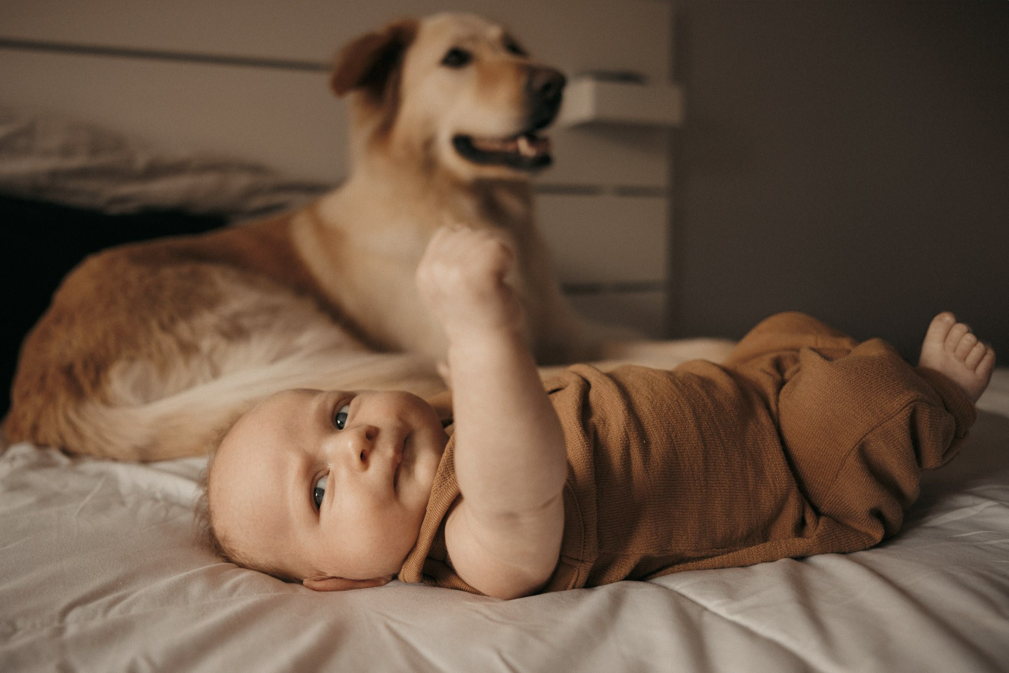 PORTFOLIO. Montreal Family & Newborn Photographer | Anna Gabitova
