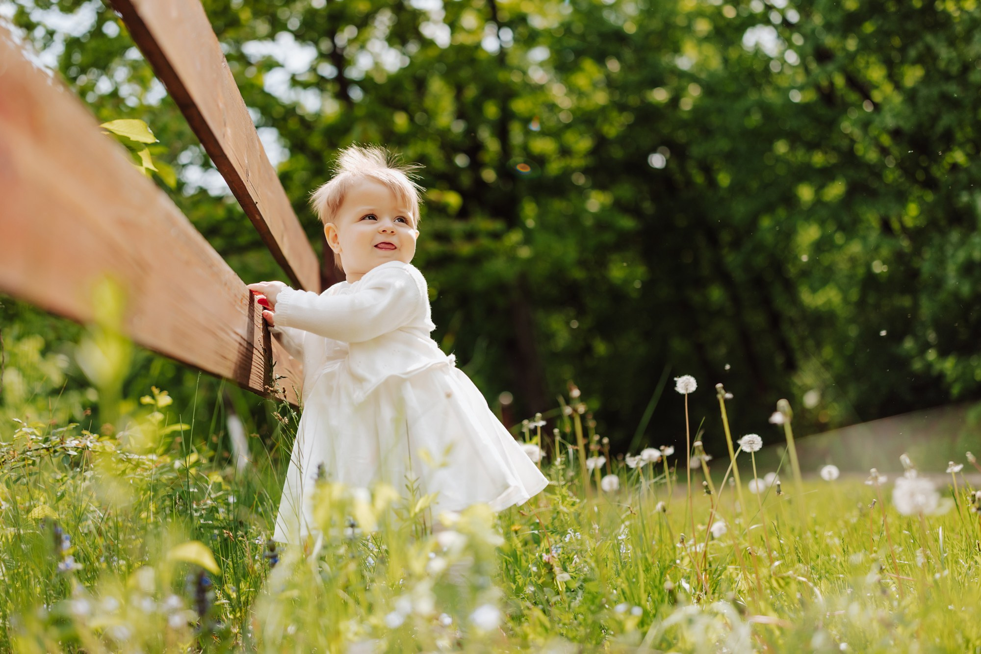 FOTO. Fotograf și videograf de nuntă R. Moldova, Romania