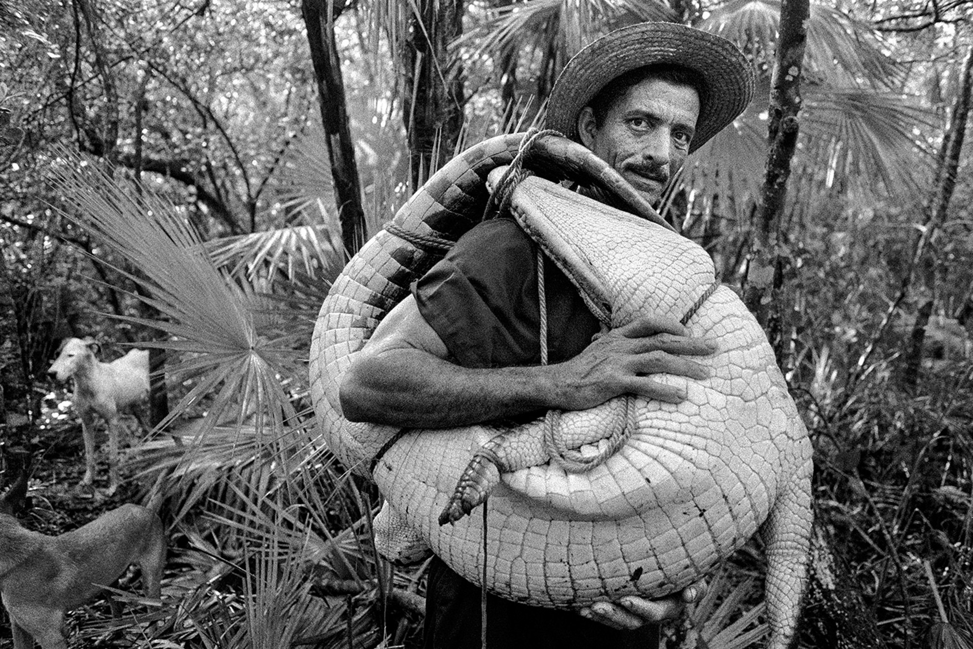 ©Рауль Каньибано / Земля Гуахиры