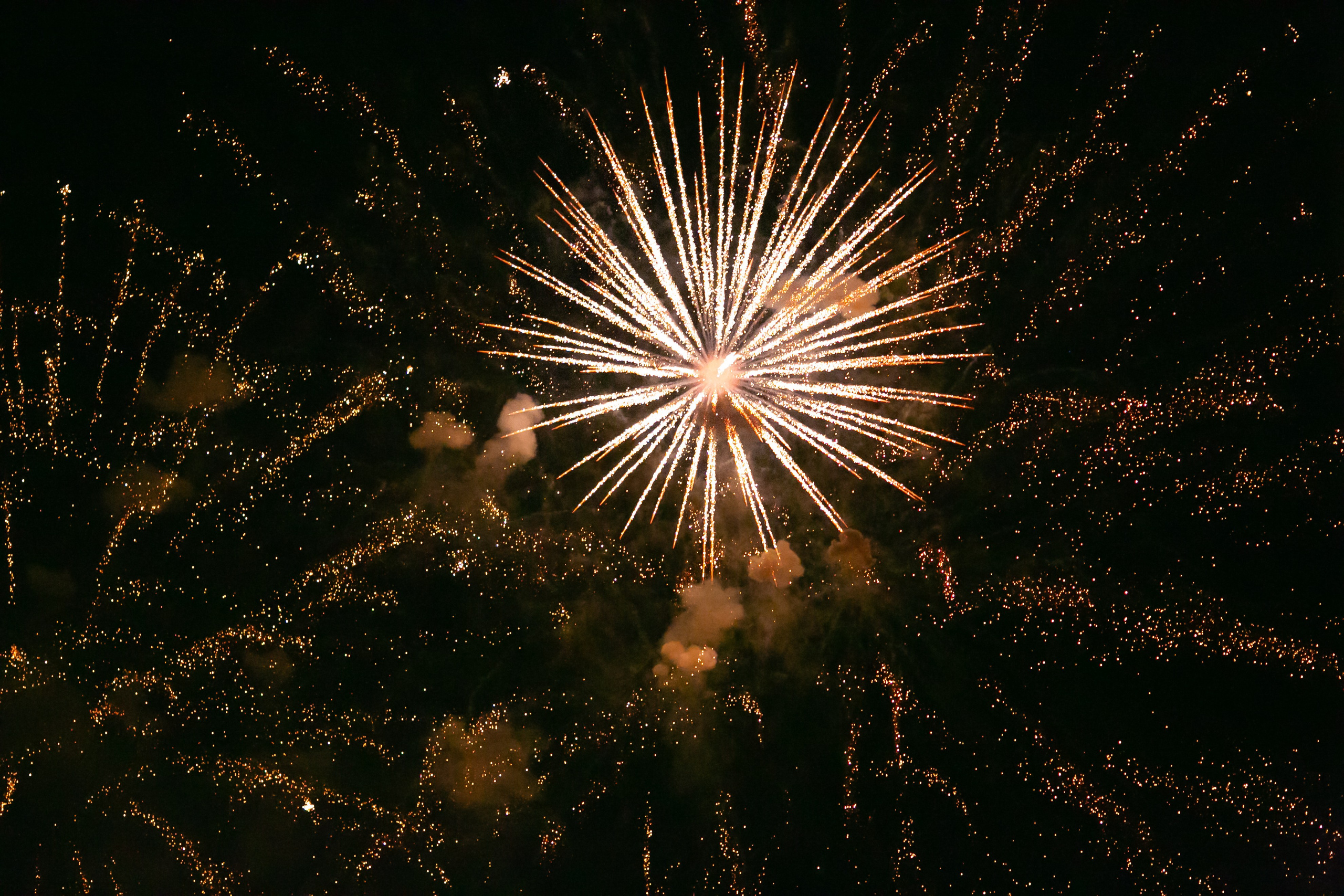 Beauty hunters. Portret photographer in Switzerland Artur Magpie