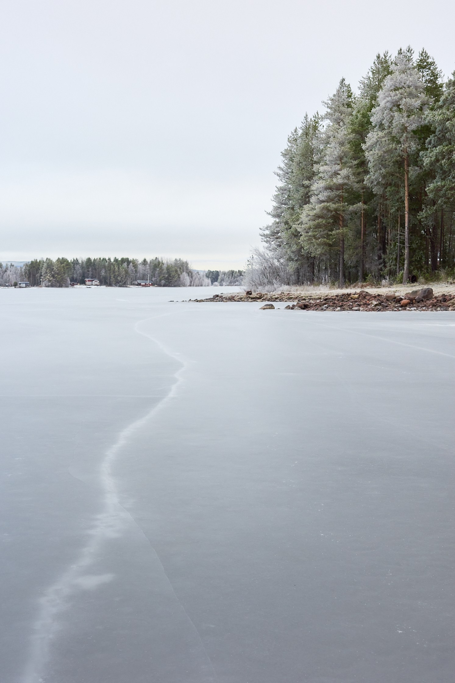 My favourite photos, class of 2024. Yuri Popkov | Photographer