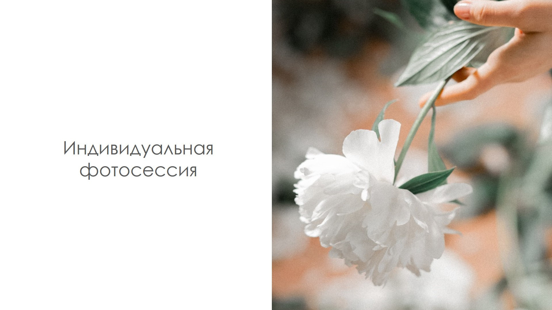 Пакеты услуг на фотосессии. Diana Di — private photo editor for photographers