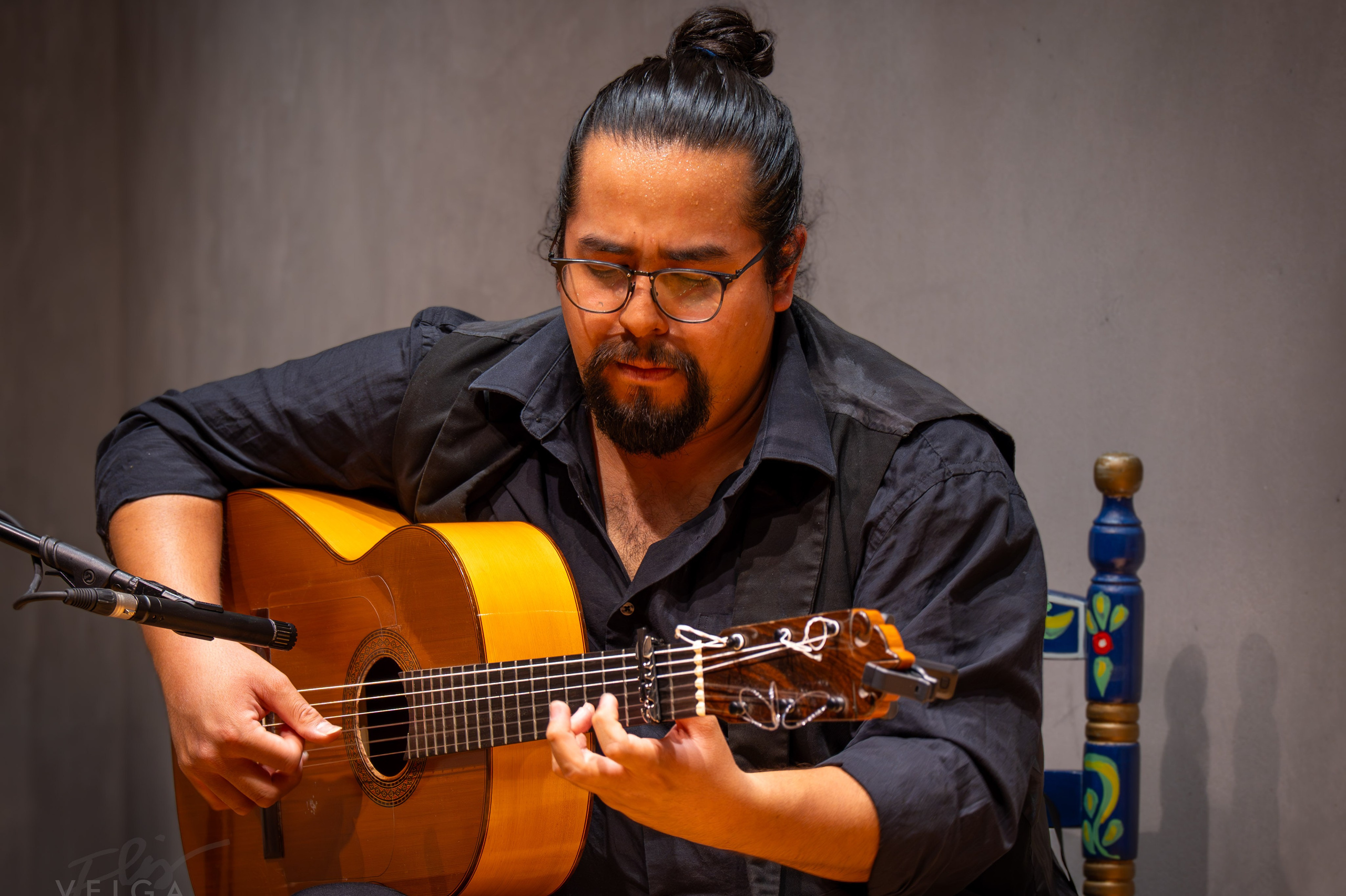 Conciertos. Elisveiga