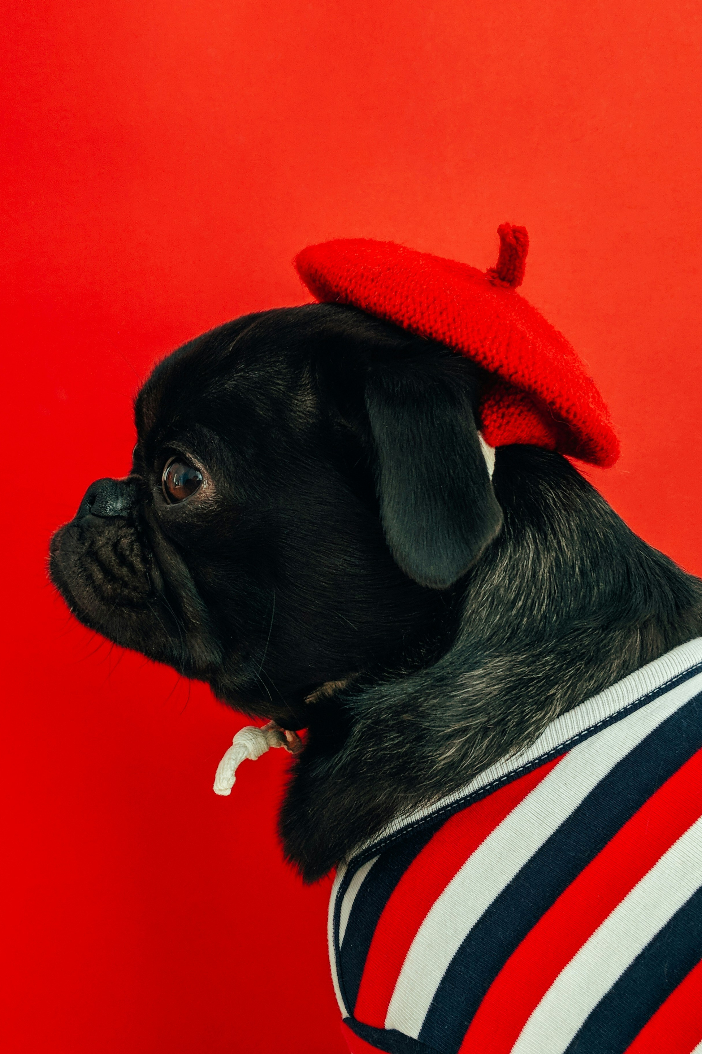 Источник идей для фотографов: интерпретация сцен из французской классики. Ленивый фотоблог