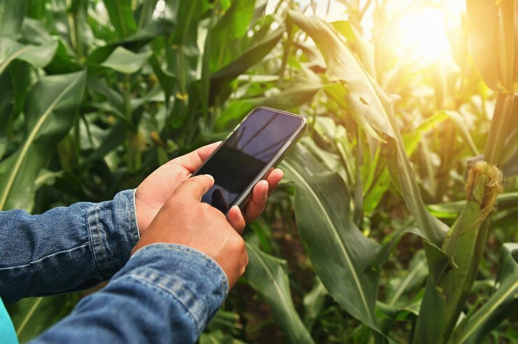 Contact. Boost Plant Growth with Organic Fertilizers: Our Effective Solution