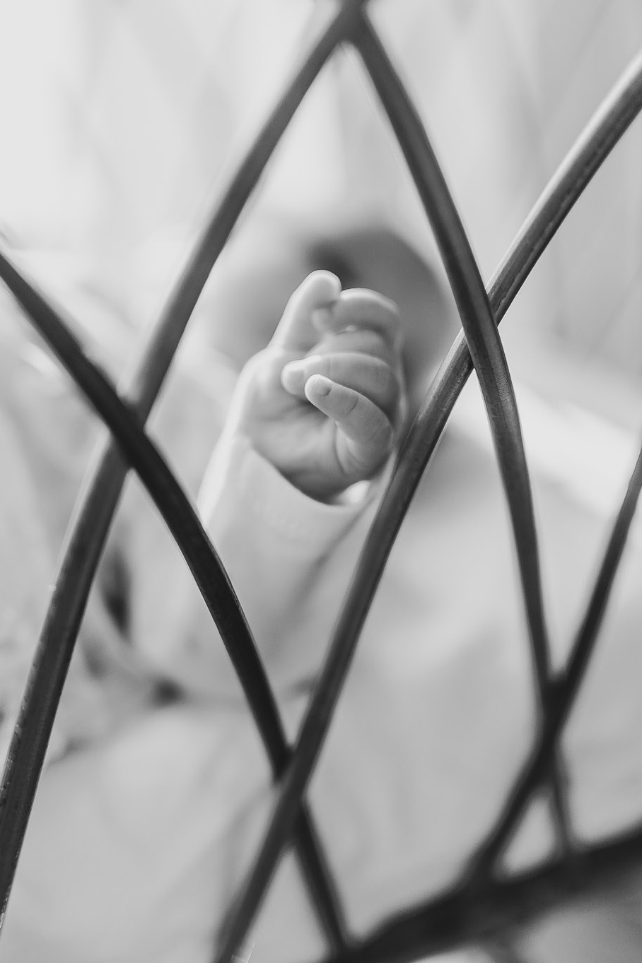 Daniel Rotaru Photography