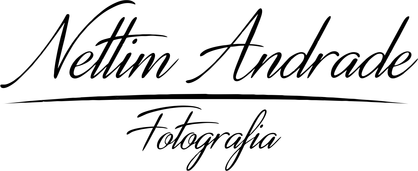 nettim.com.br