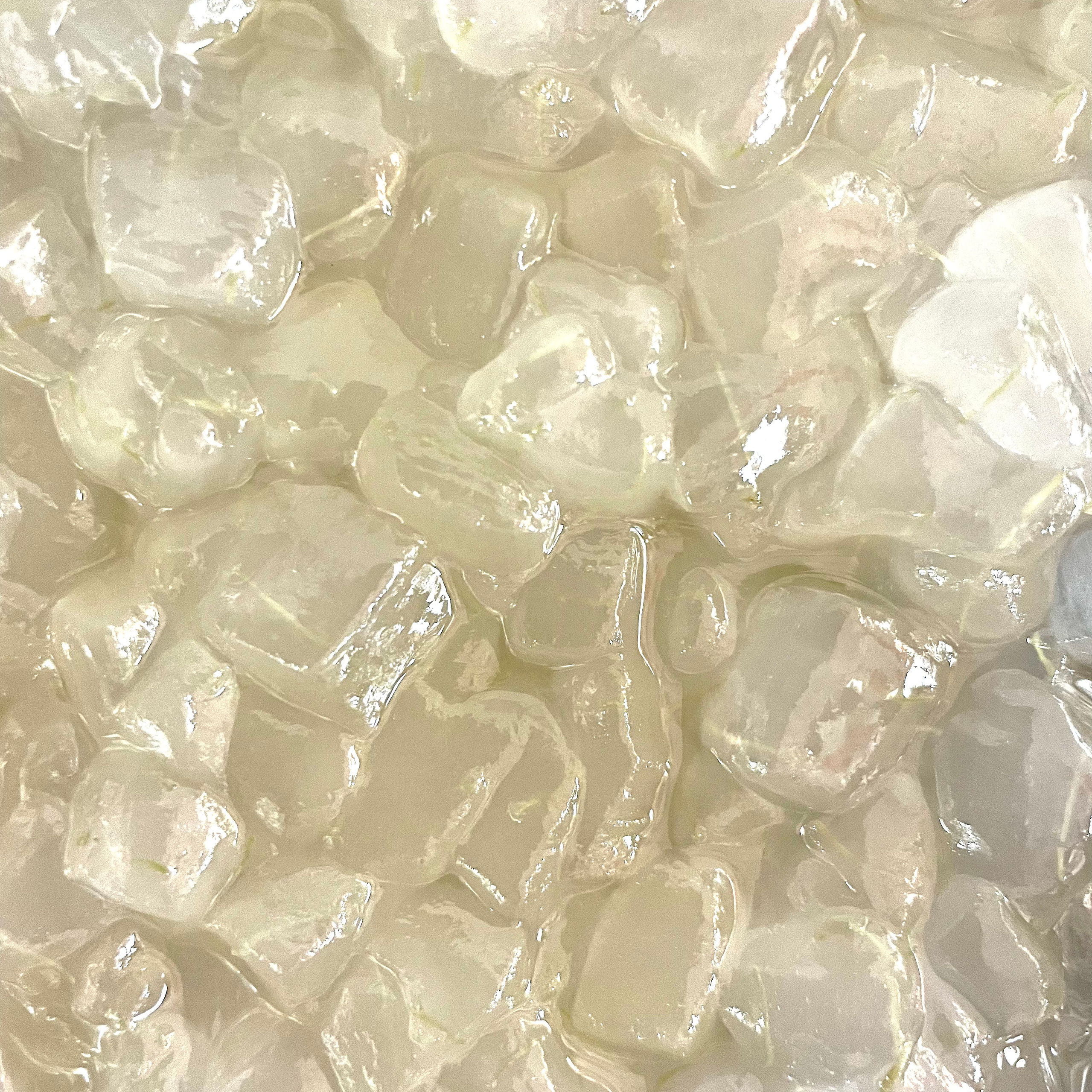 Tofu & Tofu Puddings. Fong On