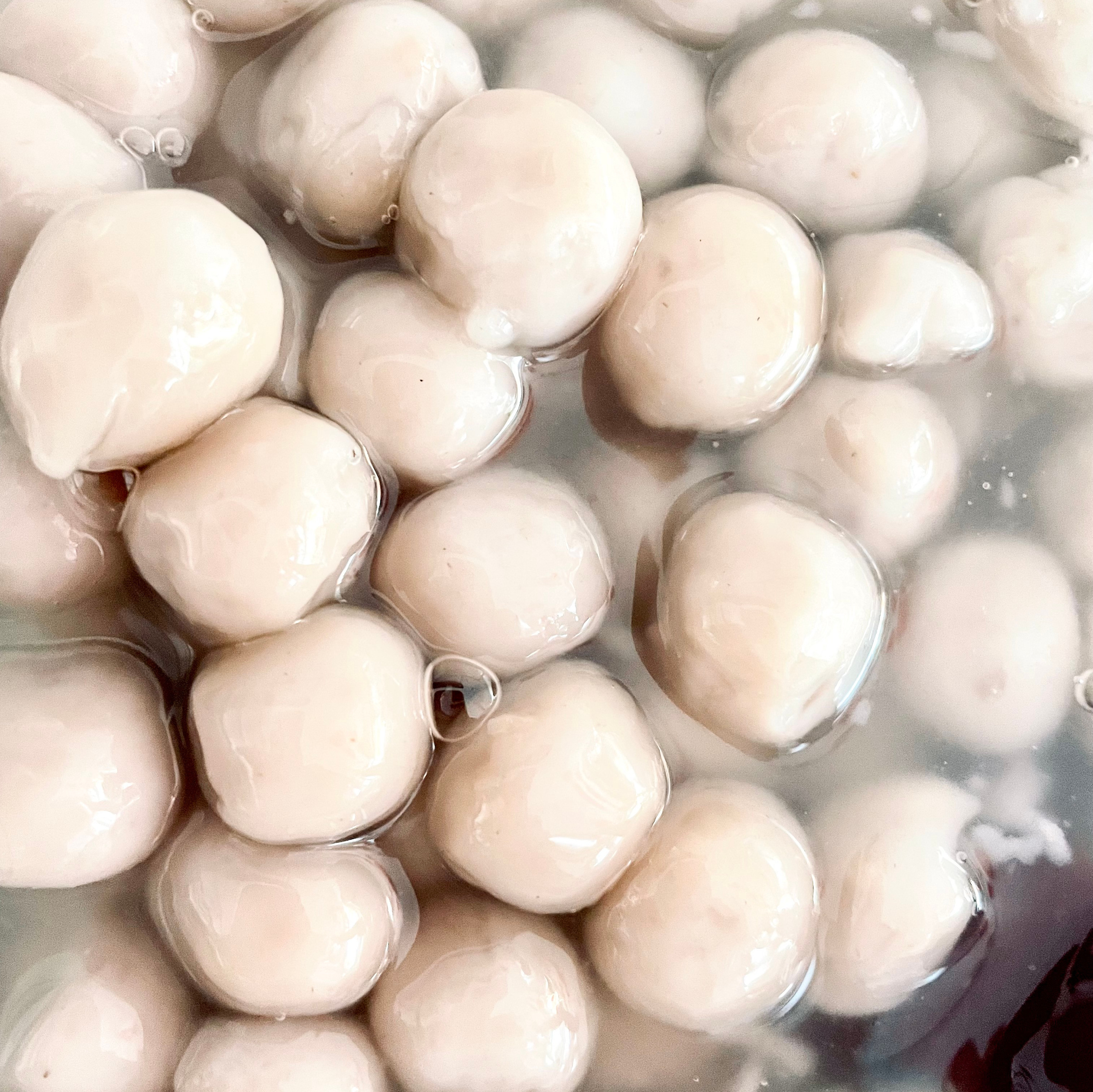 Tofu & Tofu Puddings. Fong On