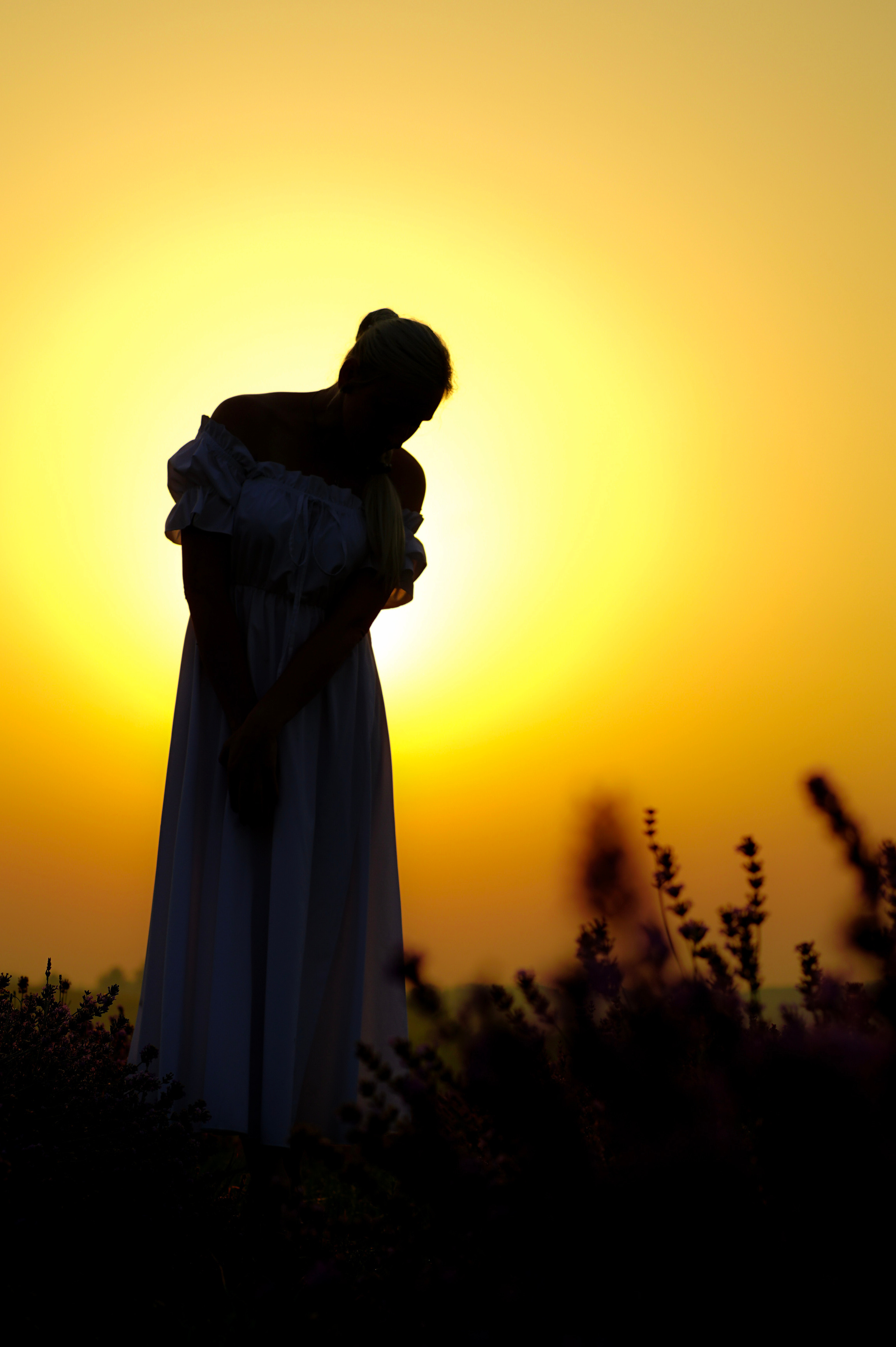 Фотопроєкт Лавандові історії в Городку