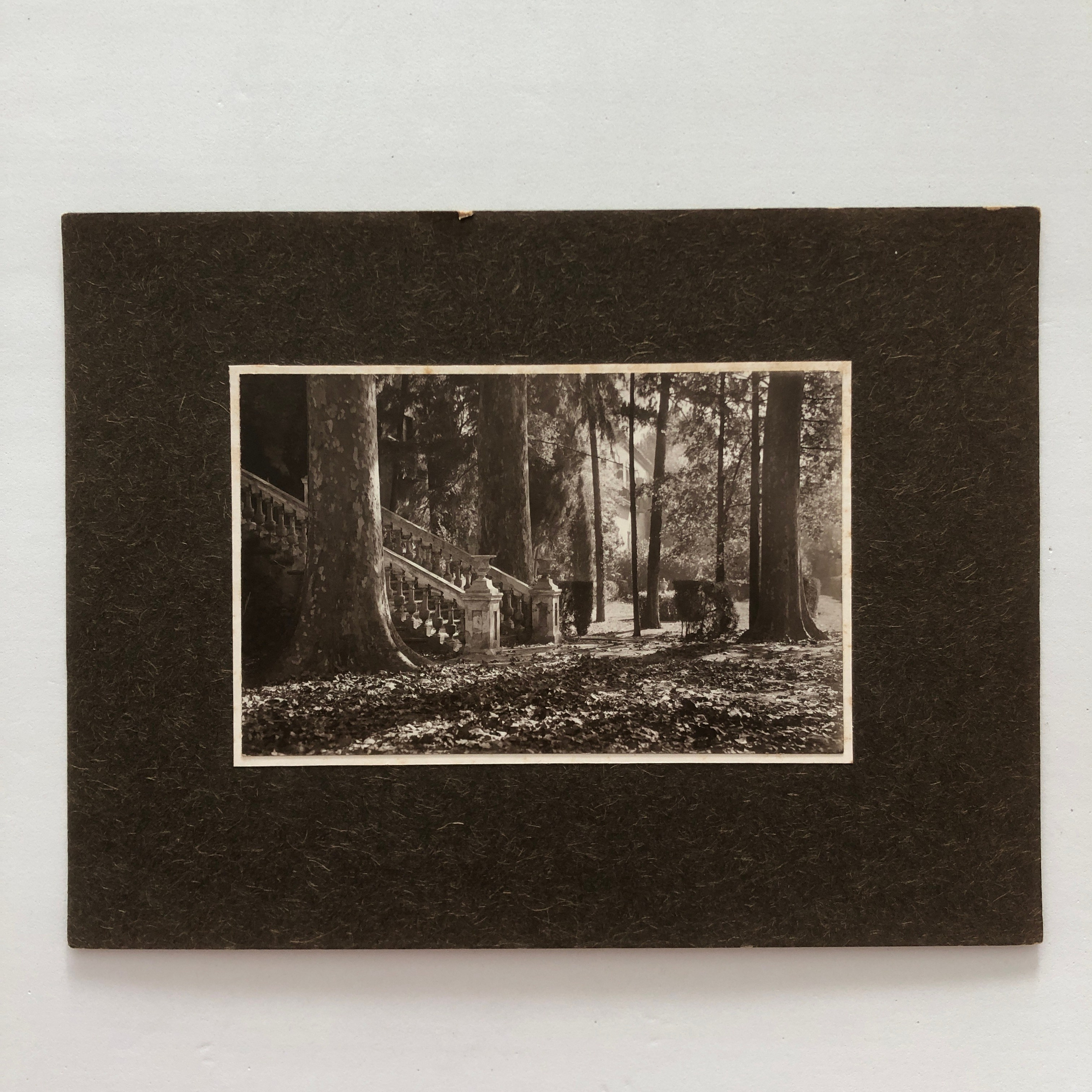 Antique photographs and cameras. Современнные и актикварные украшения в Барселоне, Москве и Санкт-Петербурге