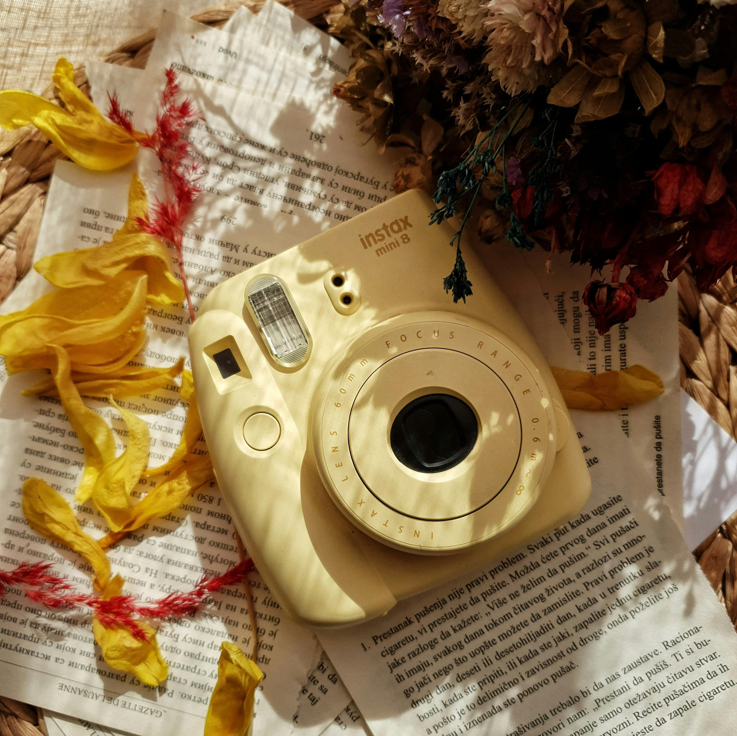 Prix Photographe Mariage Toulouse. Photographe de mariage à Toulouse