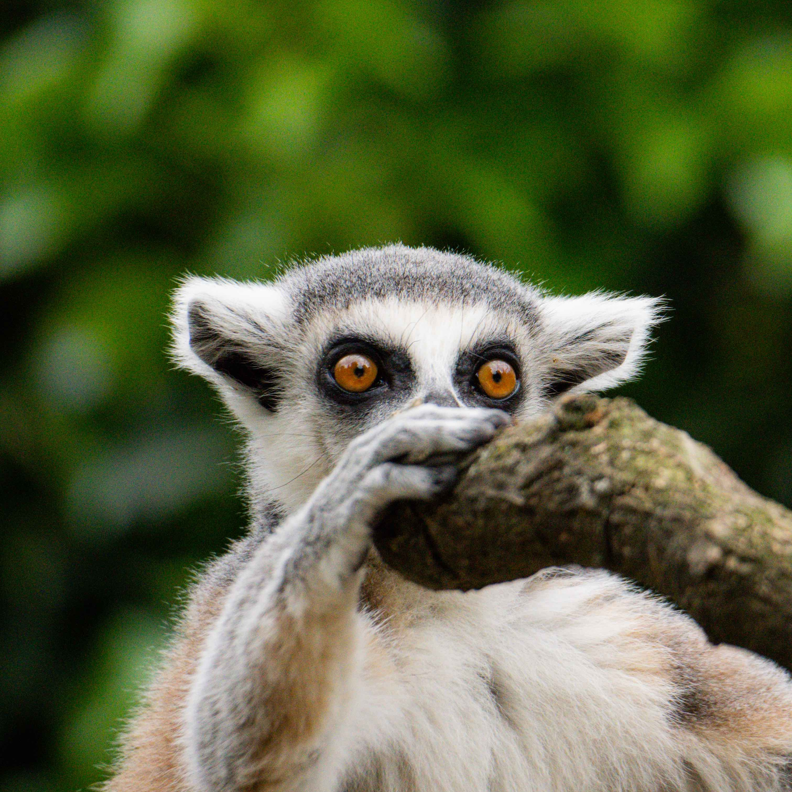 Evgeny Ignatik — street photographer | portraits