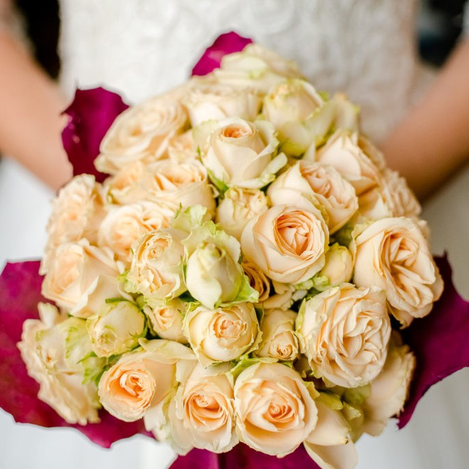 Fotograf profesionist Constanta. Bianca Bechisi - Fotograf profesionist Constanta