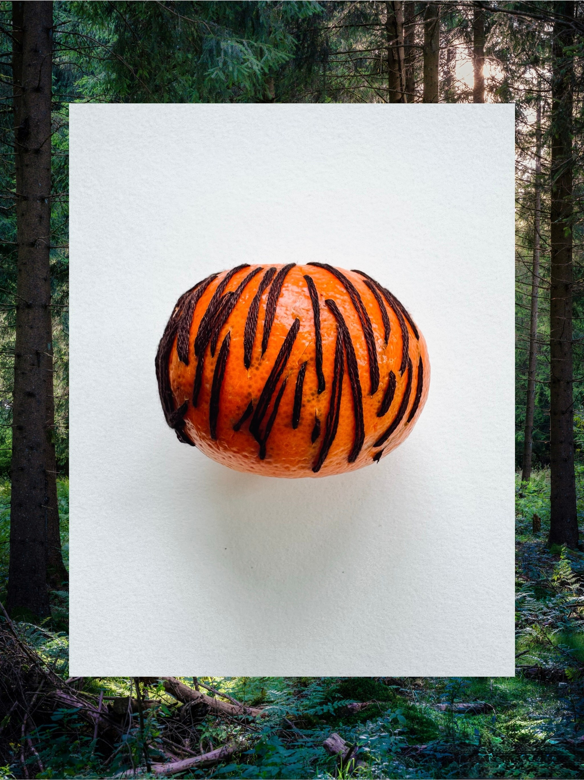 Assamblages. Natalia Naletova — artist and researcher working with textile, collage & memory