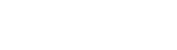 sorinfrimu.com