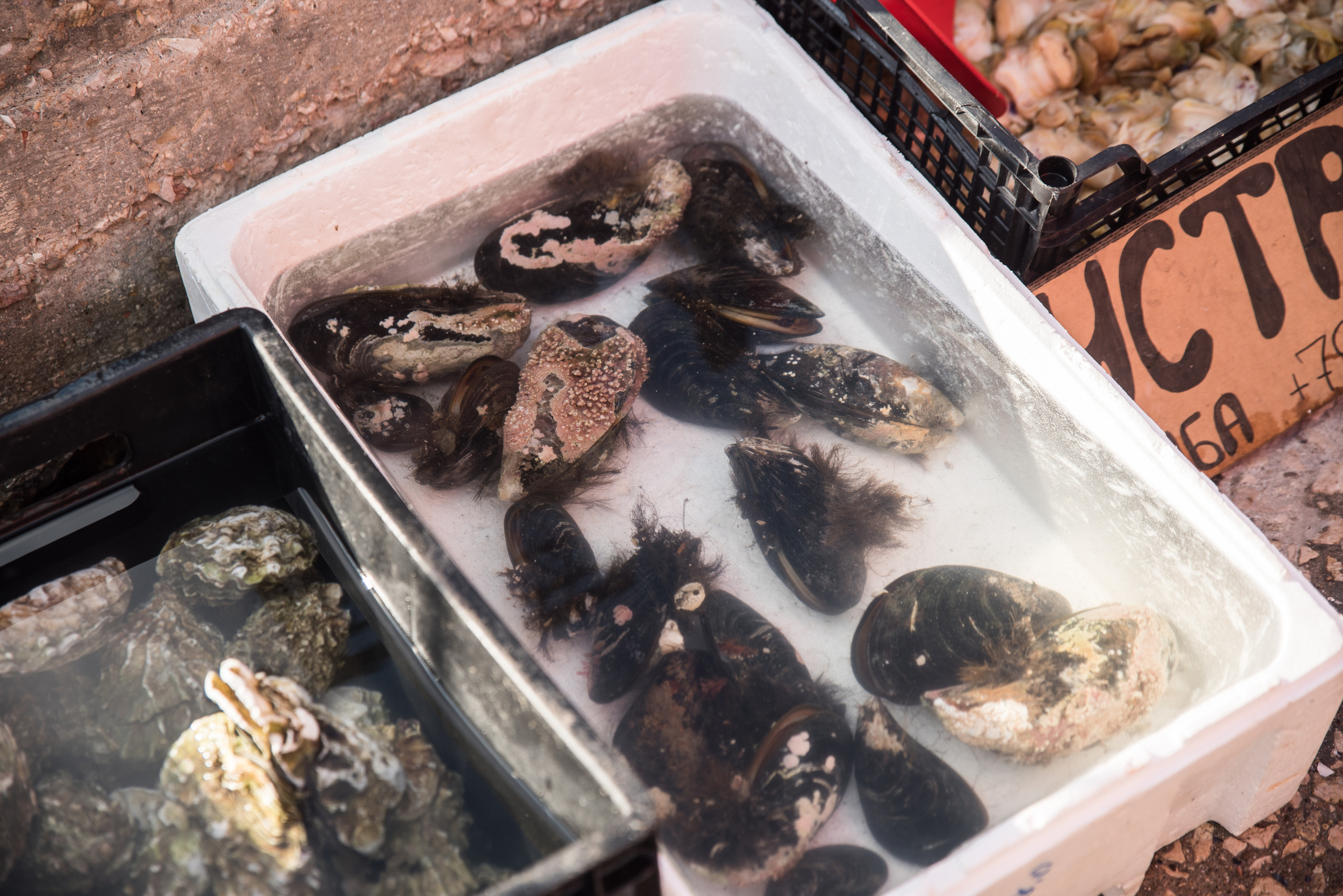 Крымская Италия. Ekaterina Verbitskaya. Photography