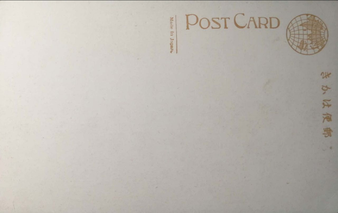 Старинная открытка: дирижабль «Граф Цеппелин» и авиационная история. Фотограф, коллекционер винтажных открыток и создатель историй на пересечении прошлого и личного. Ирина Дайнакова