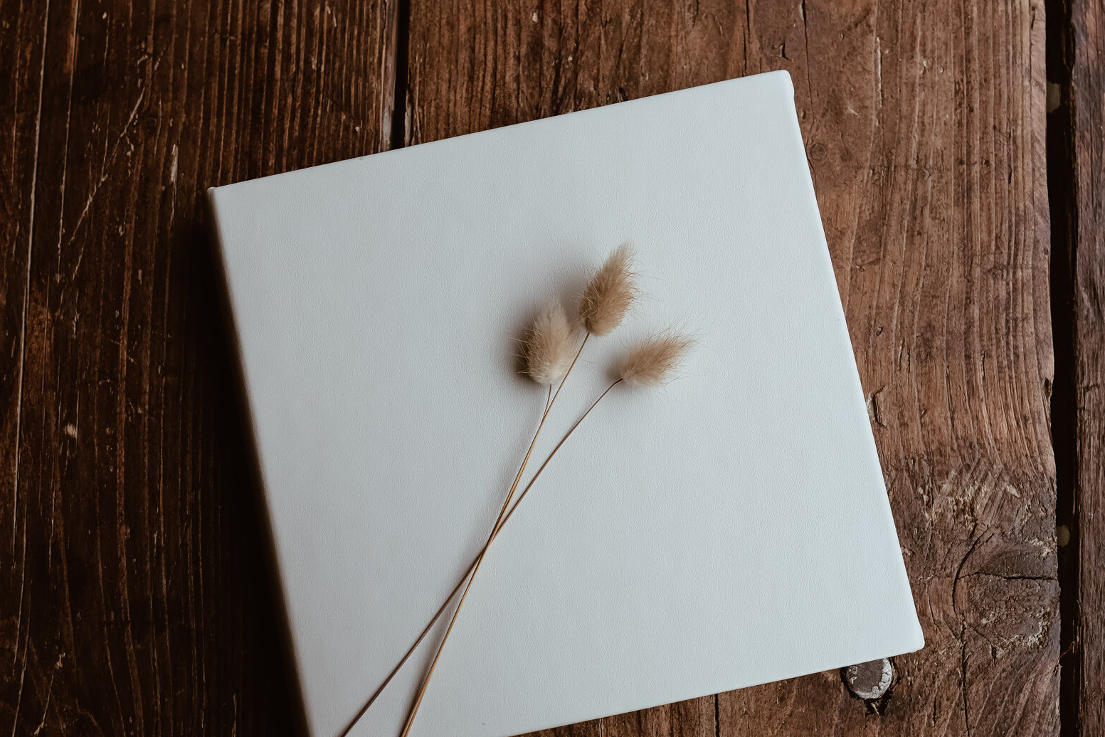 Pricing. Newborn and Family Photographer in Bromley, London, Liliya Potekhina