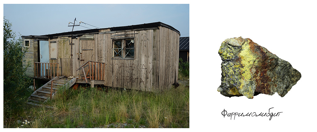 Polyarny. Stanislava Novgorodtseva — Photographer | Visual Artist | Educator