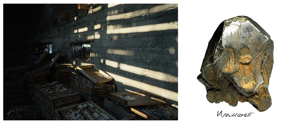 Polyarny. Stanislava Novgorodtseva — Photographer | Visual Artist | Educator