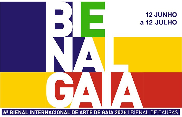 VI Bienal Internacional de Arte de Gaia. Barbara Cabral