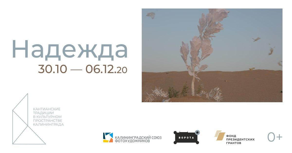 News. Документальный фотограф, междисциплинарный художник