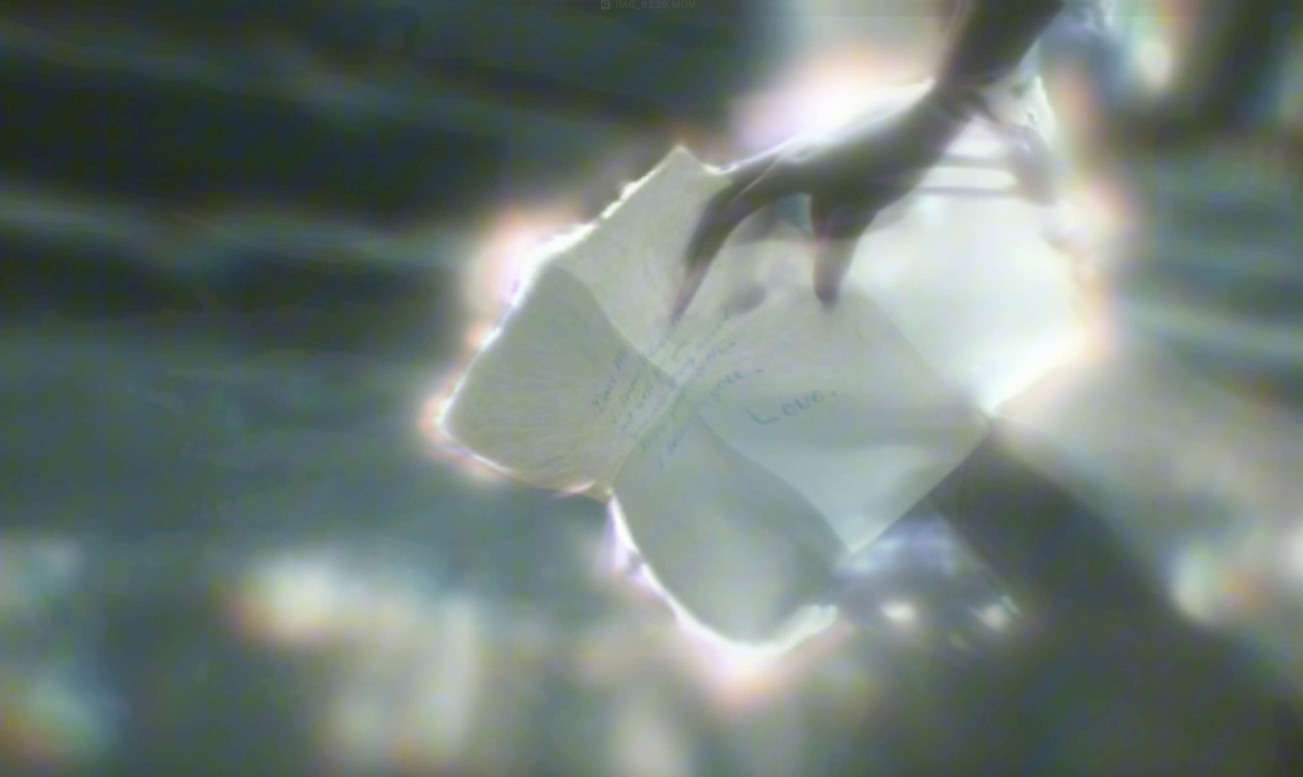 Portfolio. Tanya Kolser — Visual Artist, Director