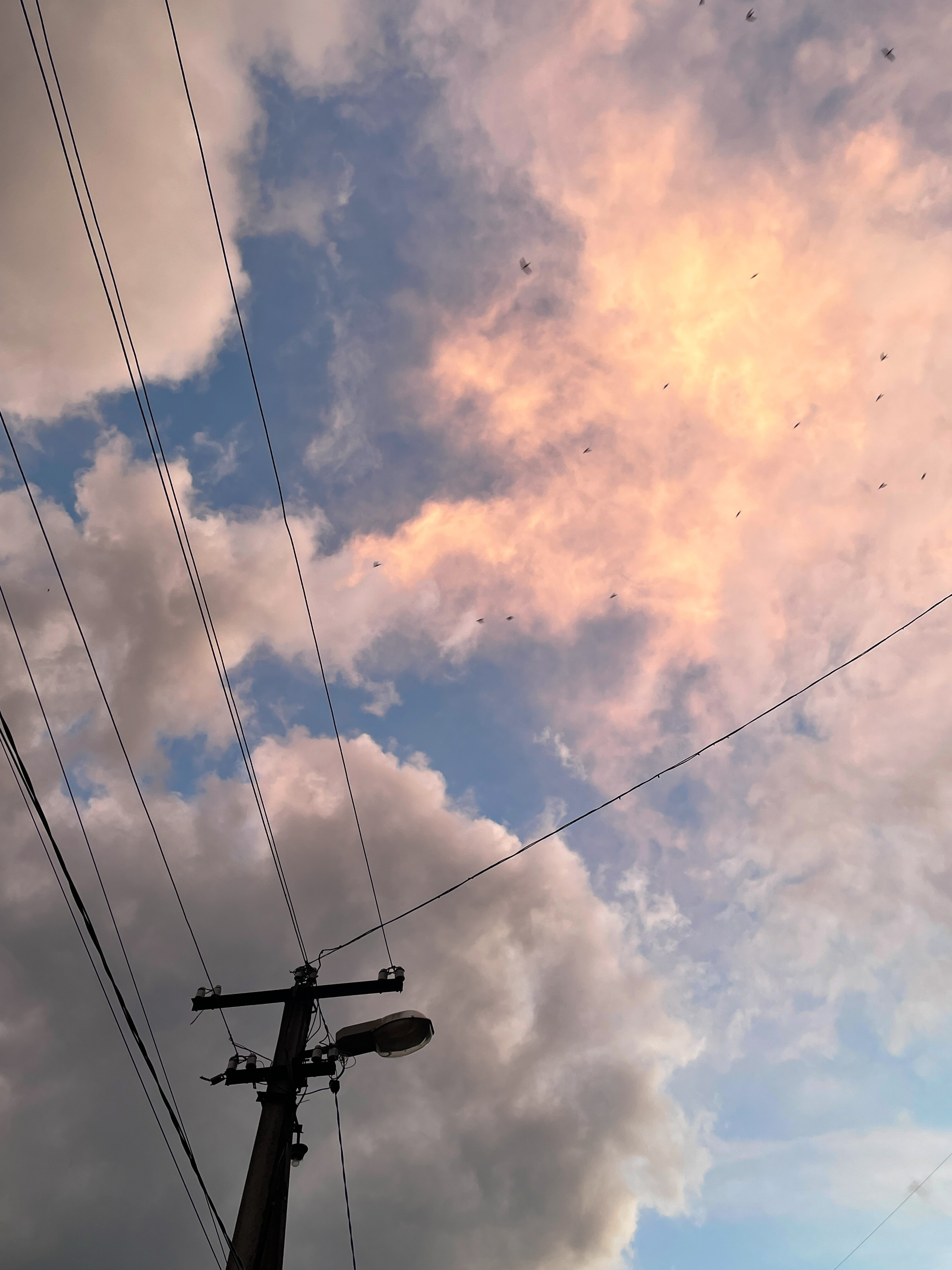 Фонари. Ekaterina Verbitskaya. Photography