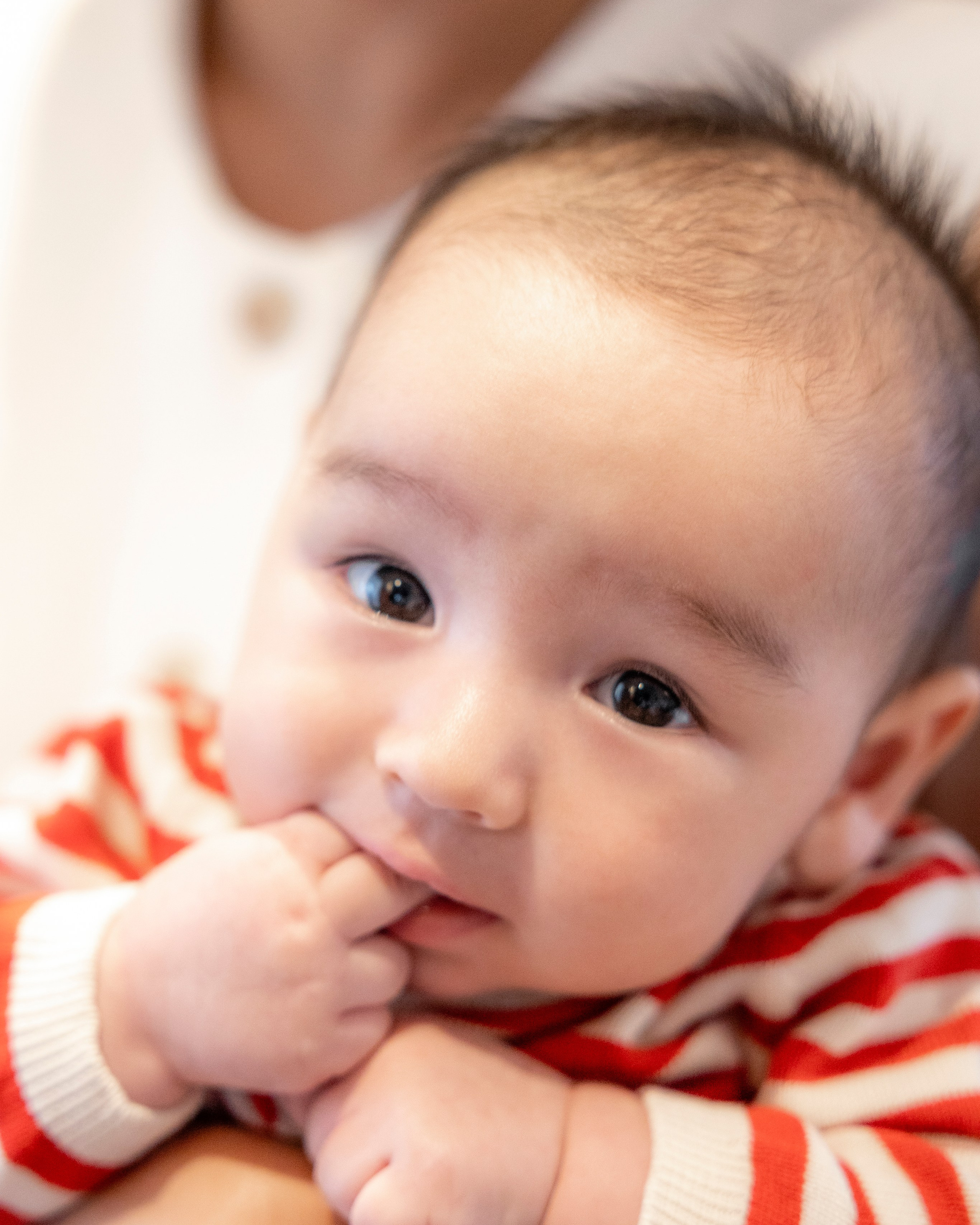 From bump to baby: why at-home family photoshoots in Toulouse are worth It. Eugénie Smirnova — photographe à Toulouse et dans le sud-ouest de la France