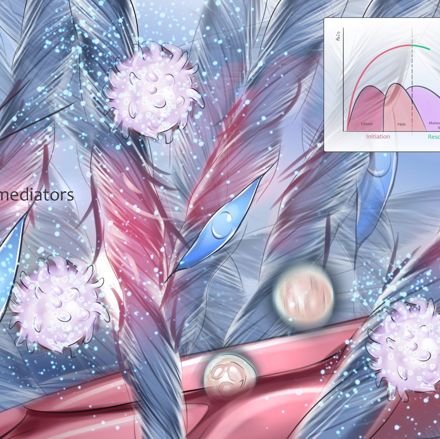 Professional freelance medical illustrator