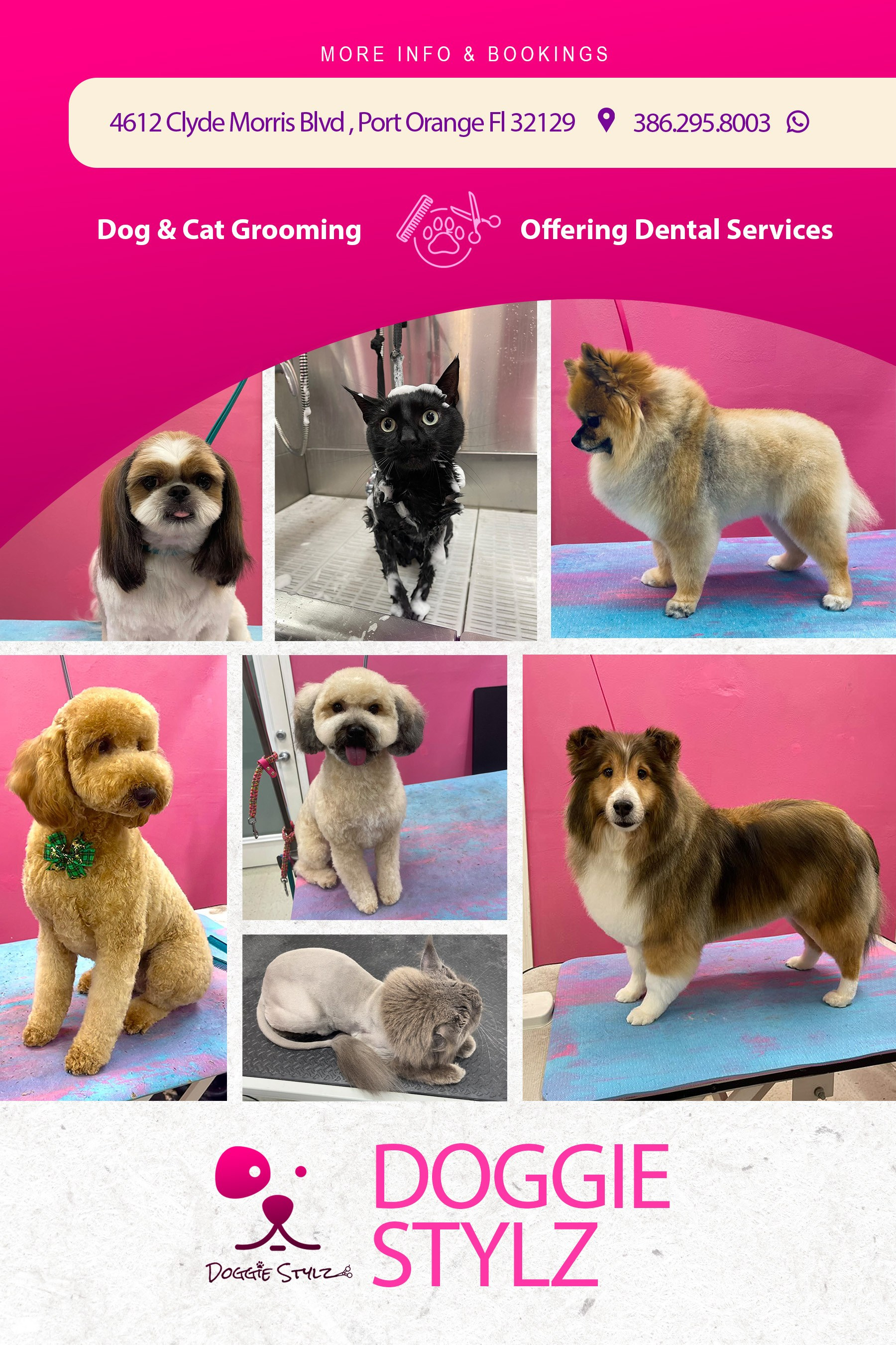 Doggie Stylz Pet Salon