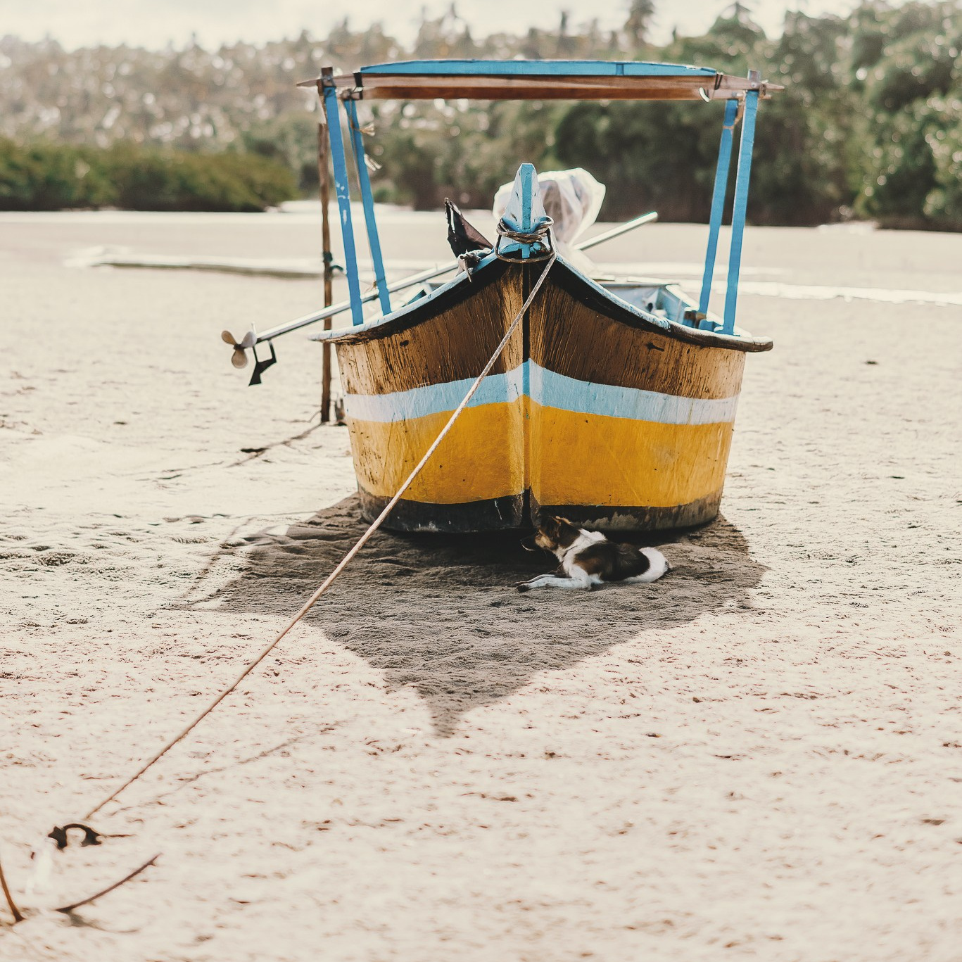 Produtos. Fotografo de ensaios e casamentos