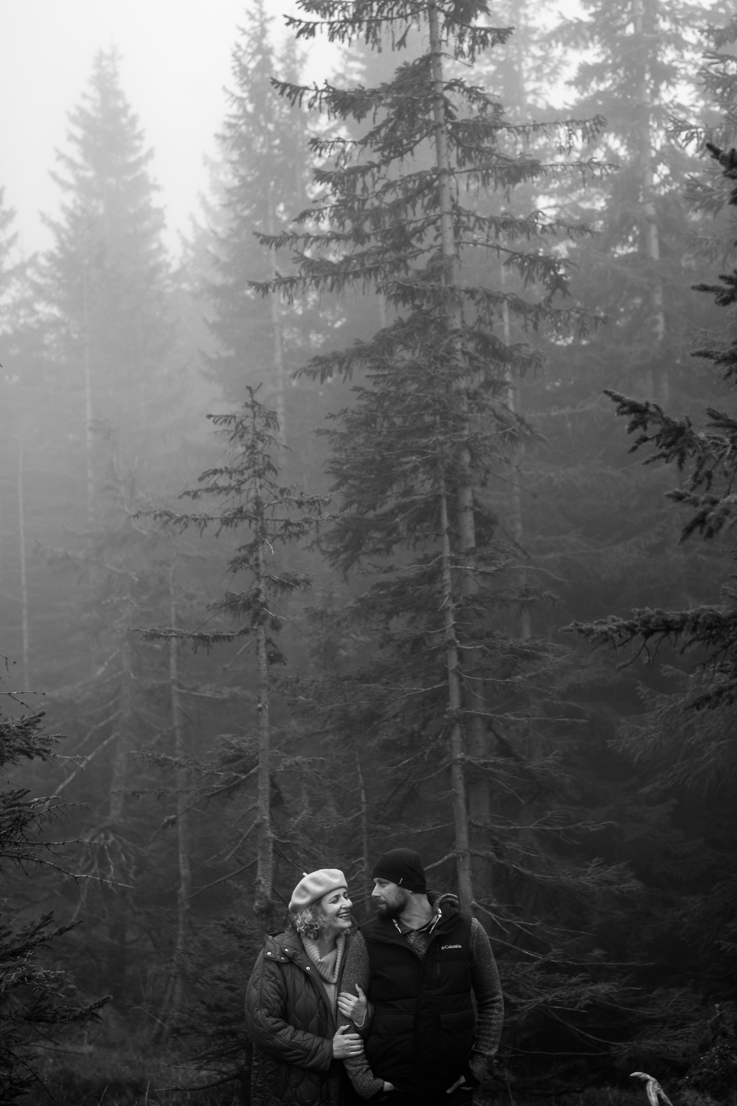 Contact. Ionut Birceanu