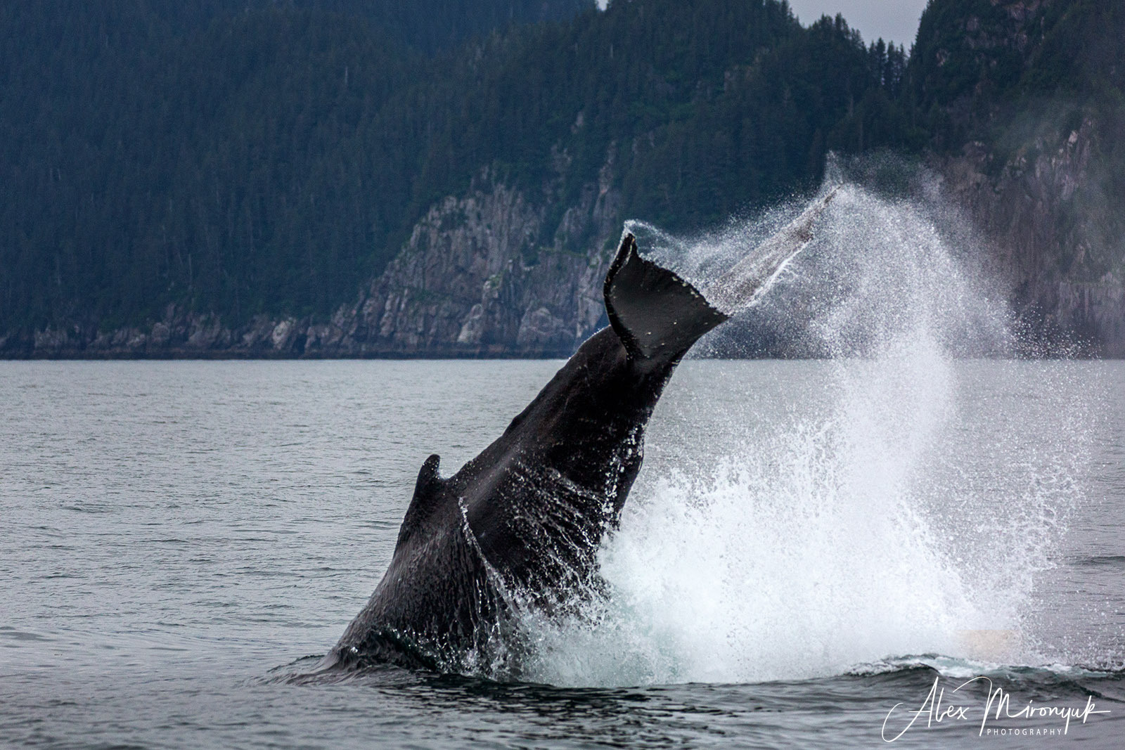 Unknown Alaska. Alex Mironyuk Photography