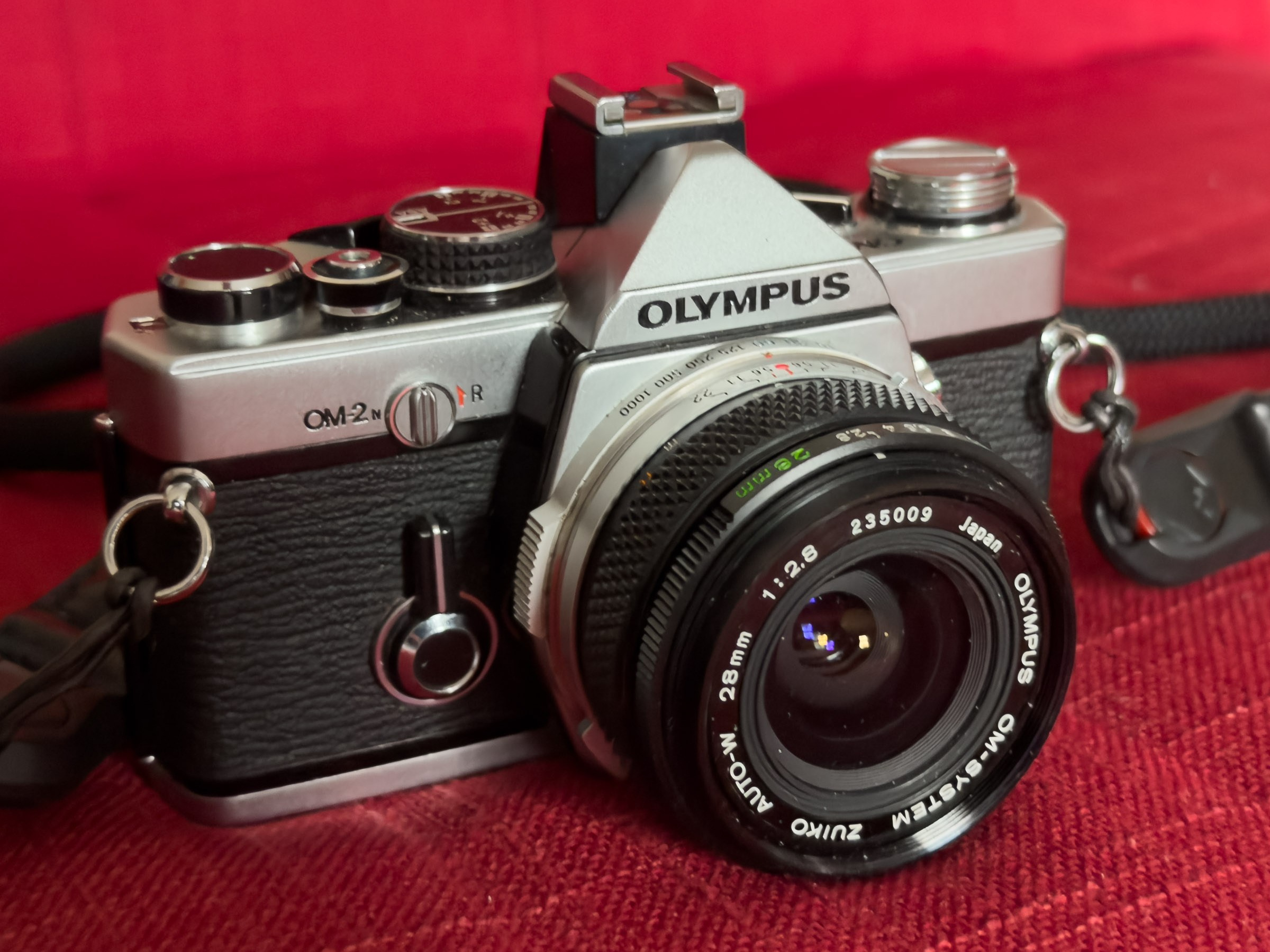 35mm vs Medium Format Film Photography: Olympus OM-2N and 120 Film. Hedley Wright Photography | East Anglia Sport, Street, Wildlife, Landscape & Astrophotography