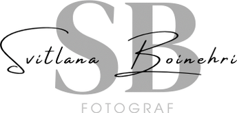 svitlanaboinehri.wfolio.pro