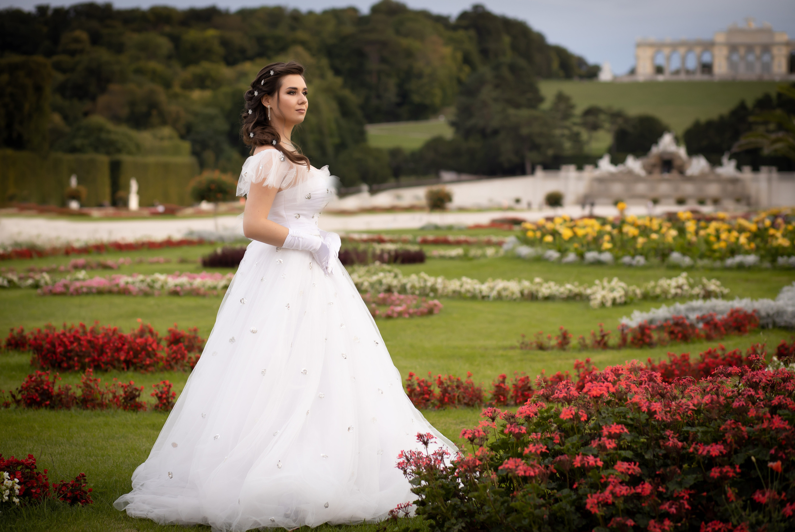 English. Fotografen in Wien