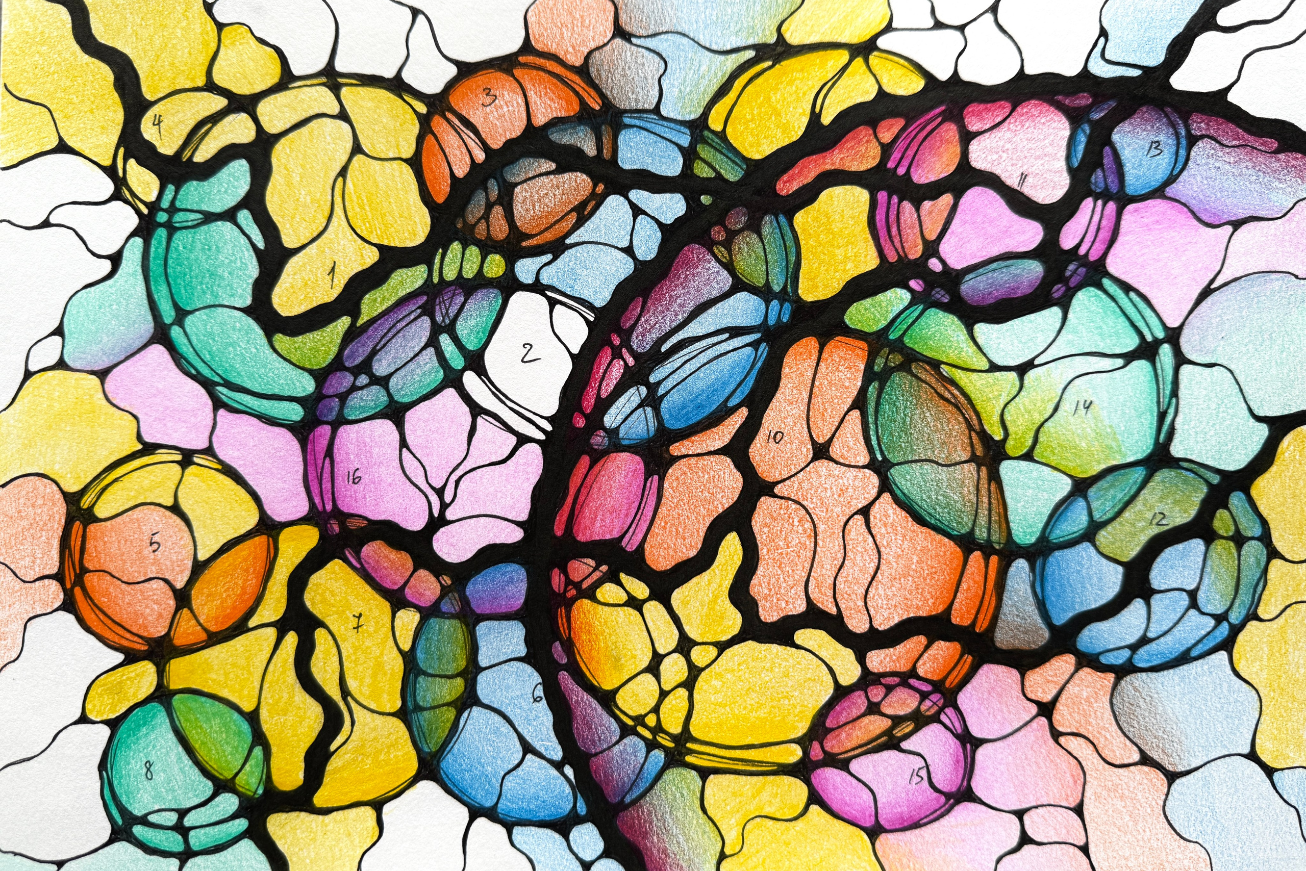 Preveč stvari naenkrat. Numerologija. Nevrografika. Delavnice