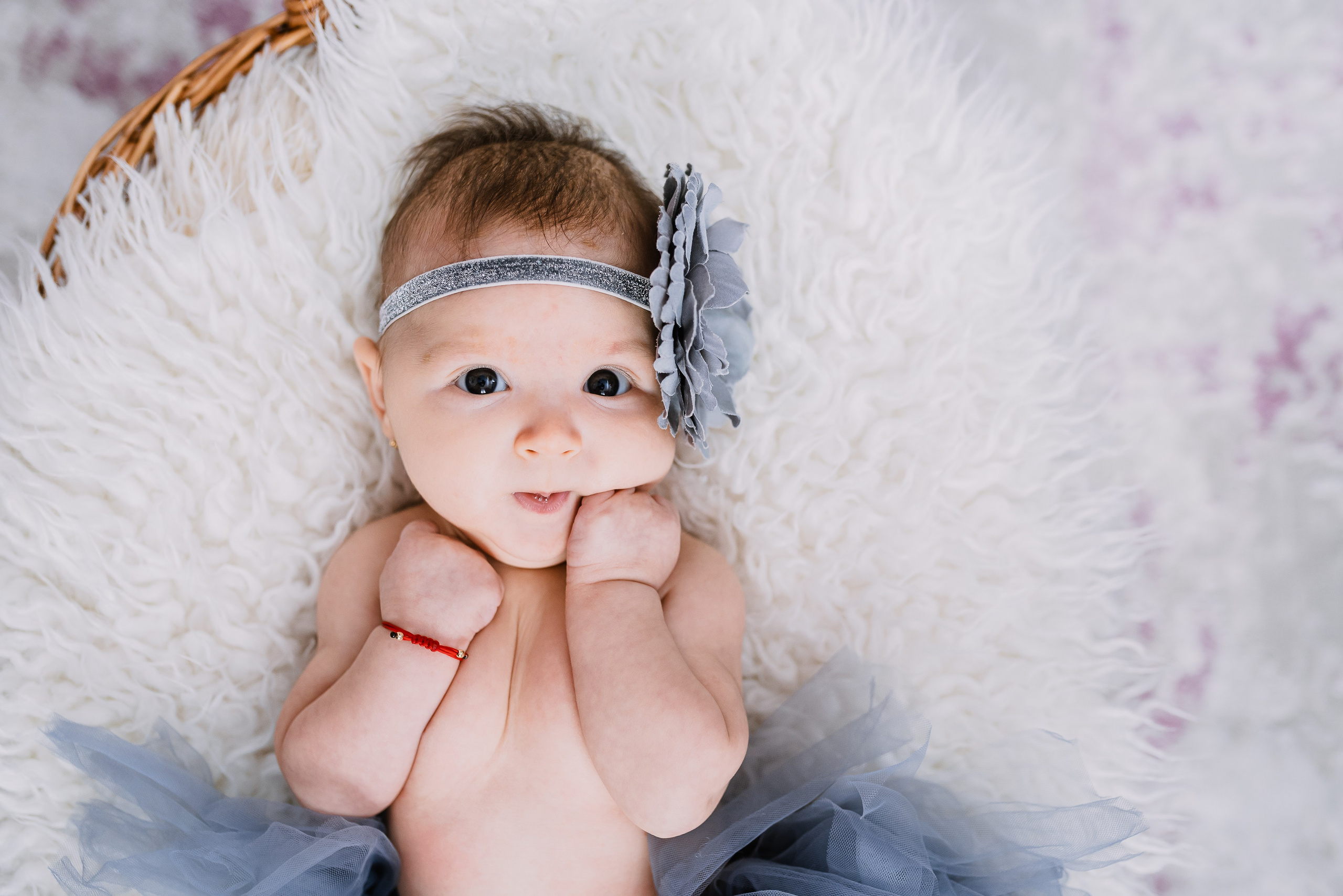 Servicii si Preturi. Giani Maftei