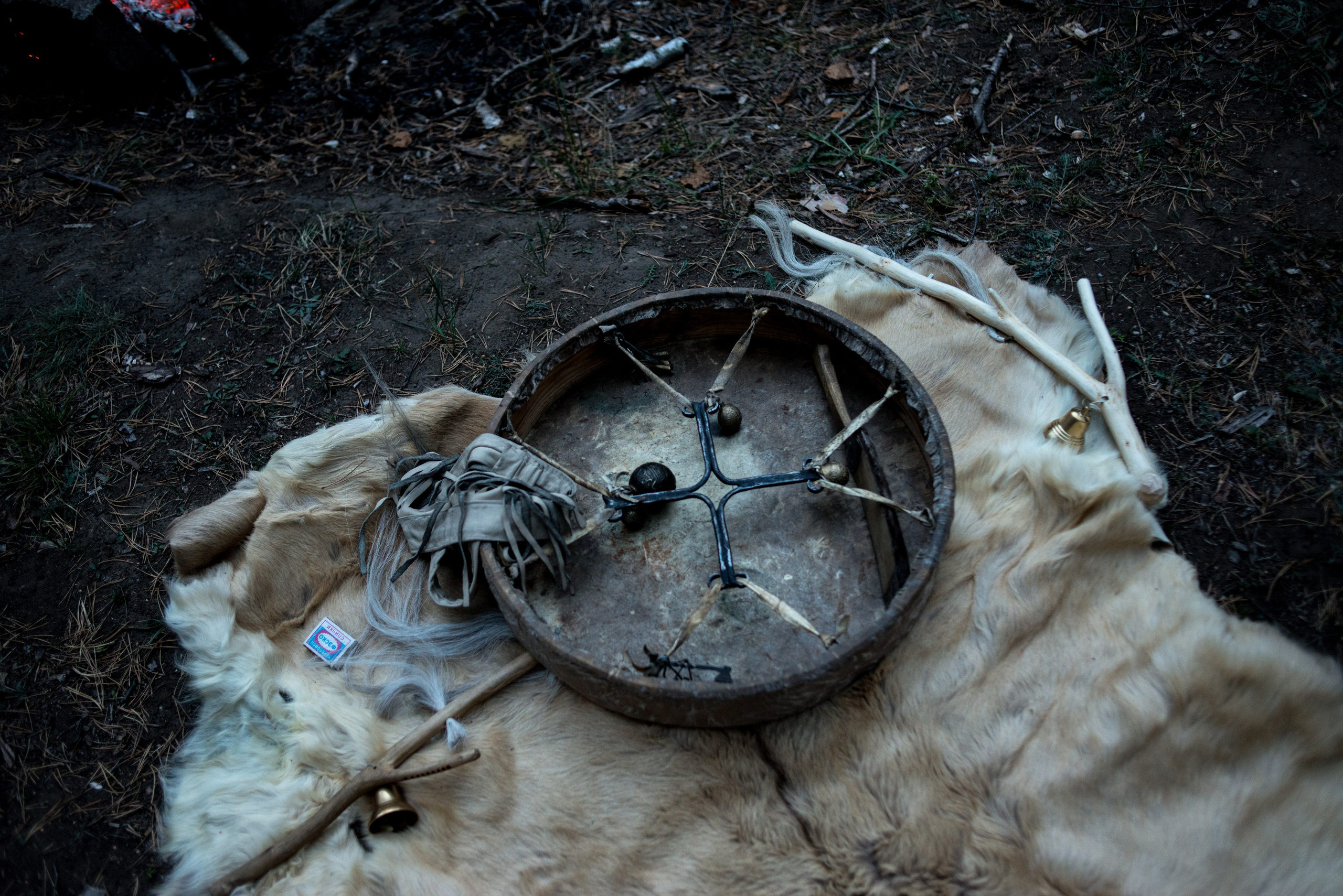 Mystic Forest. Ayar Kuo