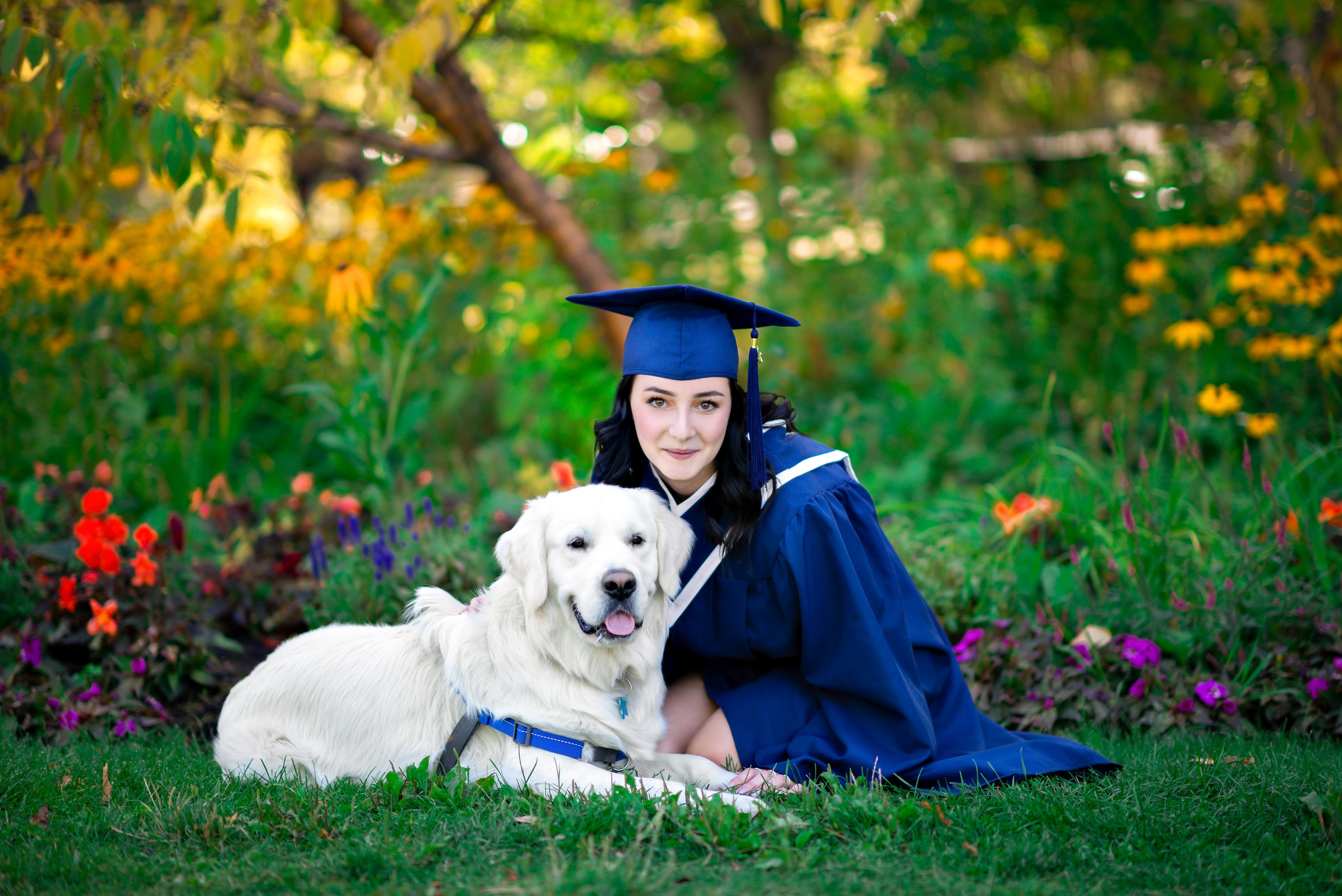 Investment. Allo Photography — Calgary Photographer for Weddings, Families, Graduations & Events