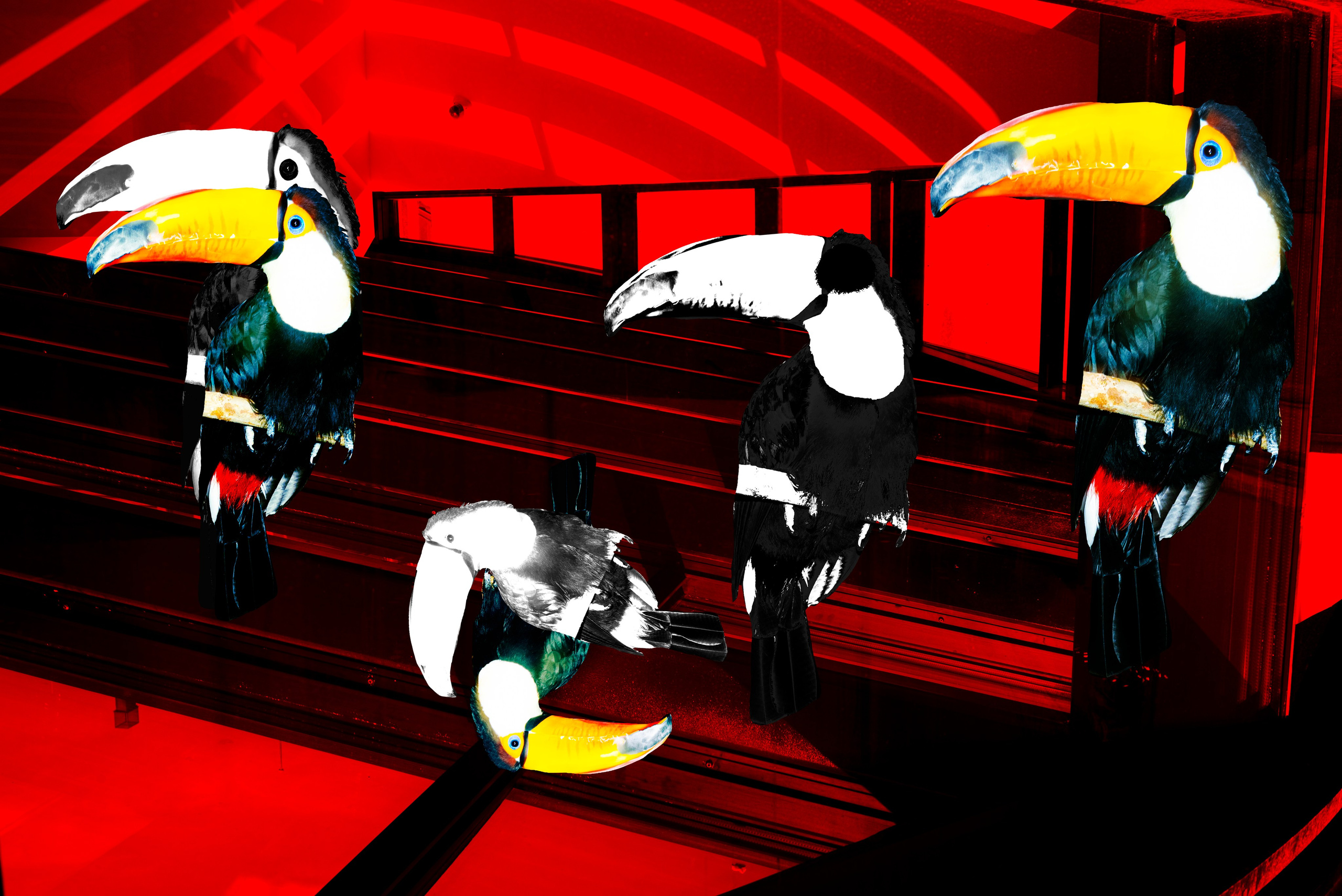 My Photo Art Research on Manipulation theme. Ekaterina Tsurkina-Appina Photography Canada