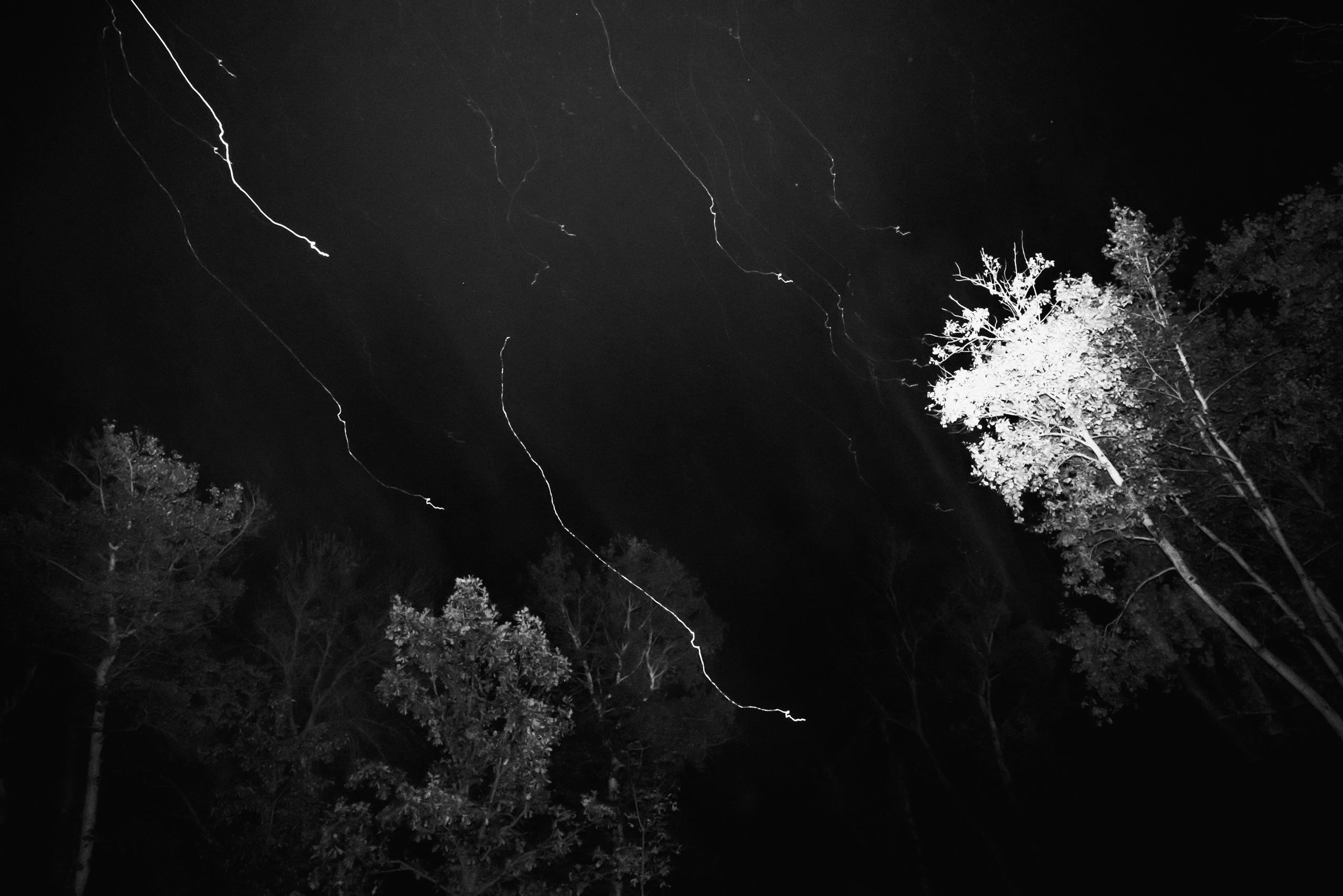 Landscape / Abstraction. Ekaterina Tsurkina-Appina Photography Canada