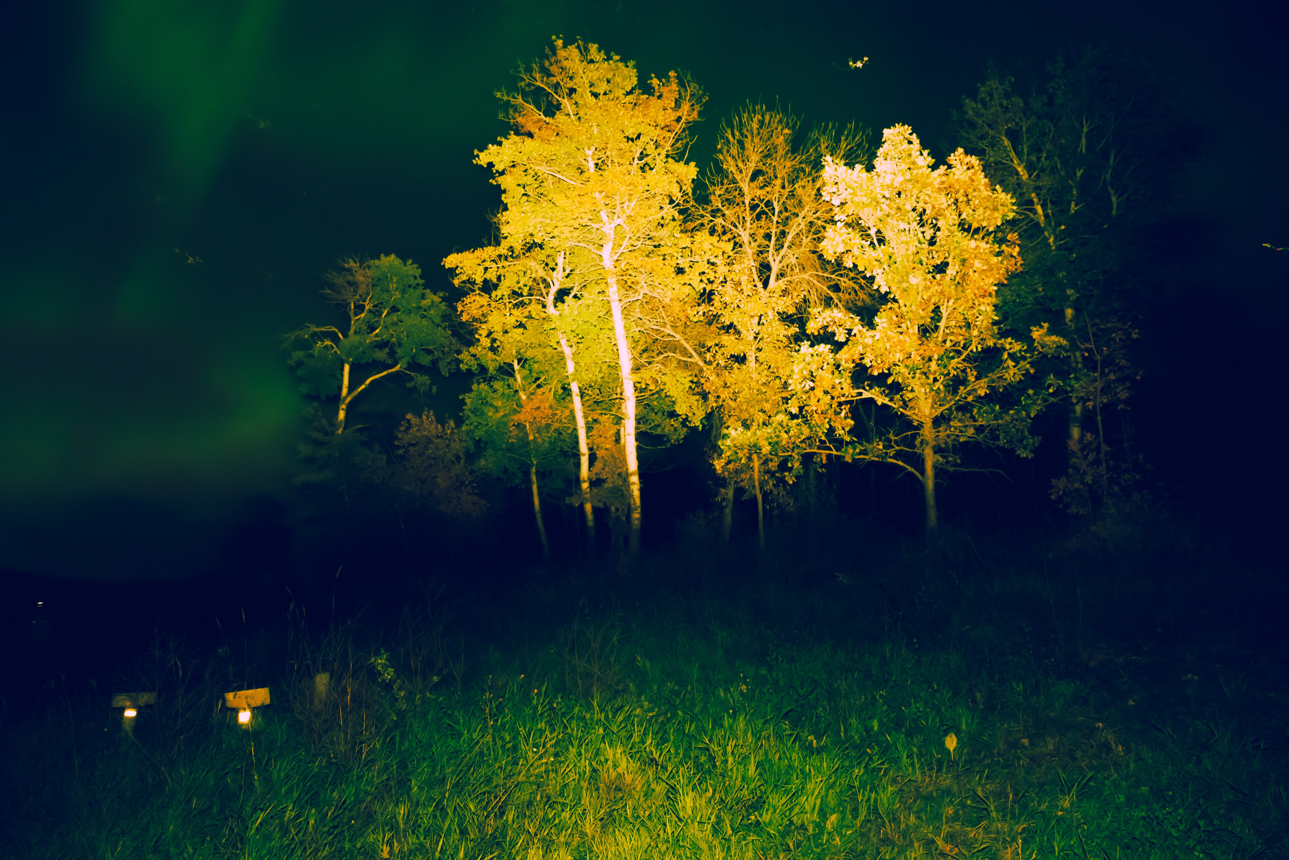 Landscape / Abstraction. Ekaterina Tsurkina-Appina Photography Canada