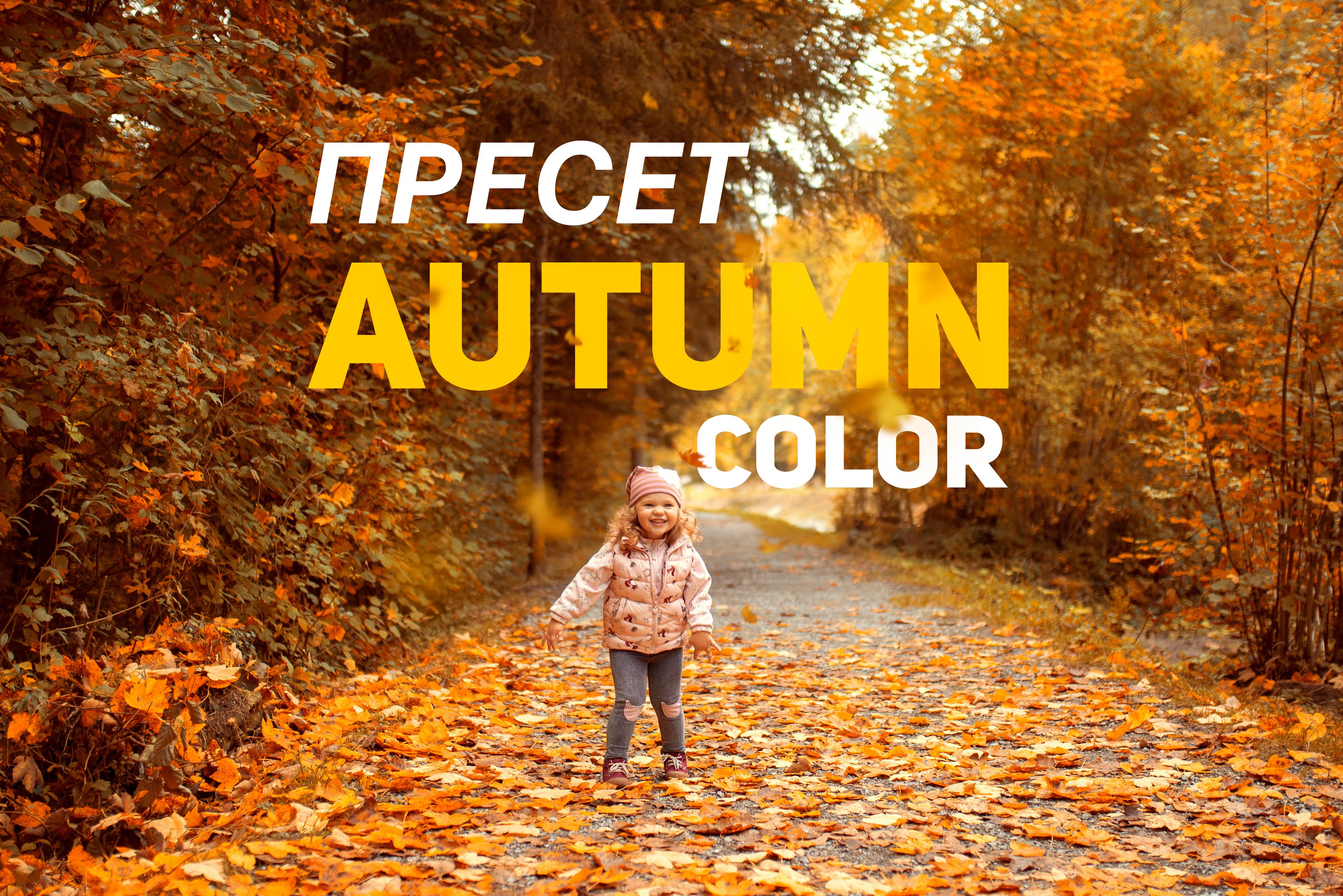 Обучение. Рhotographer in Switzerland and Europe — Lubimova Natalia